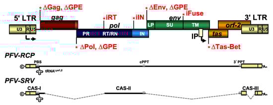Viruses 11 01095 g0a1