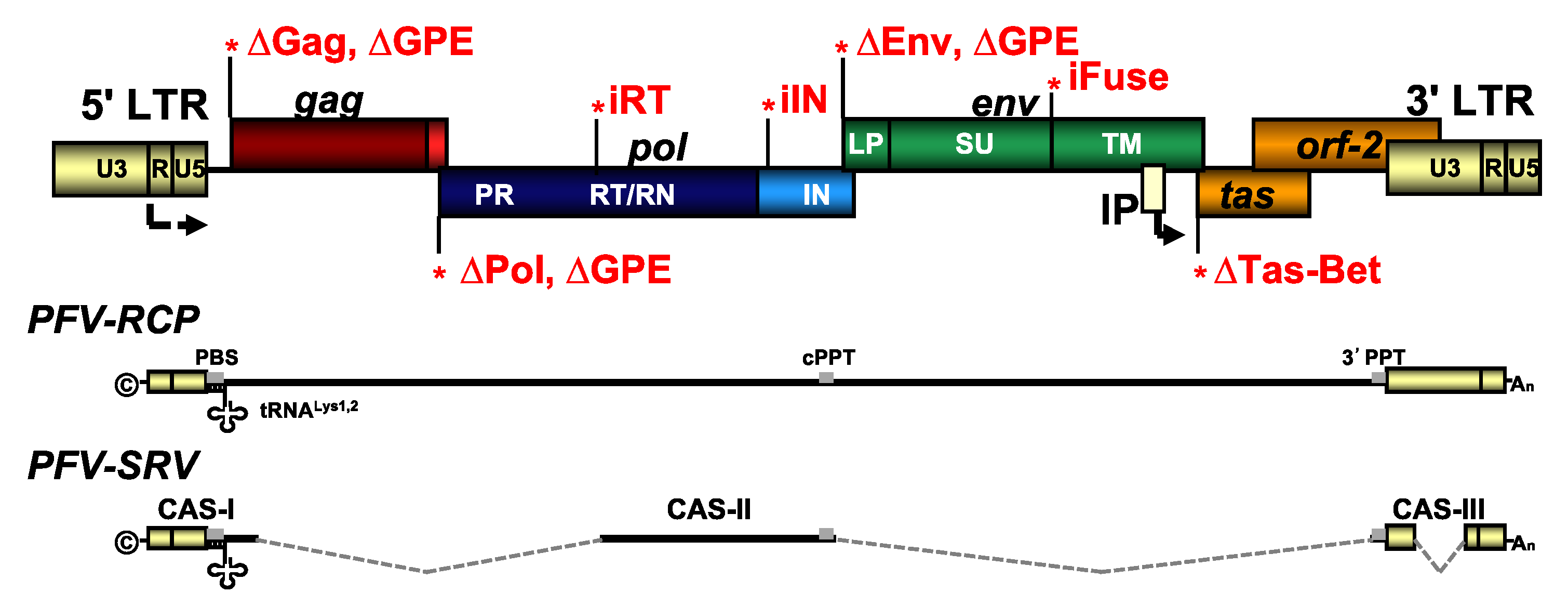Viruses 11 01095 g0a1