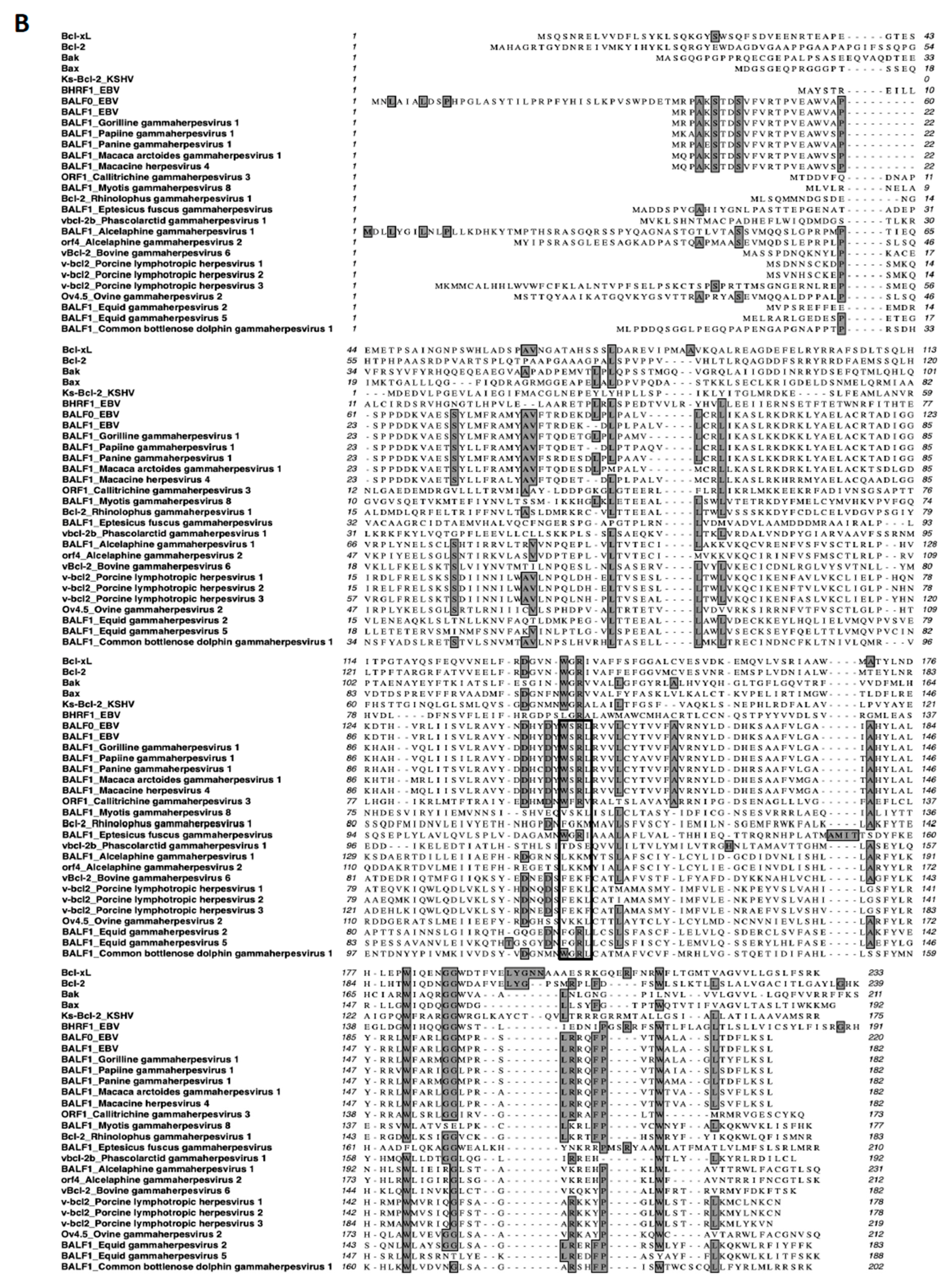 Viruses 11 01099 g001b