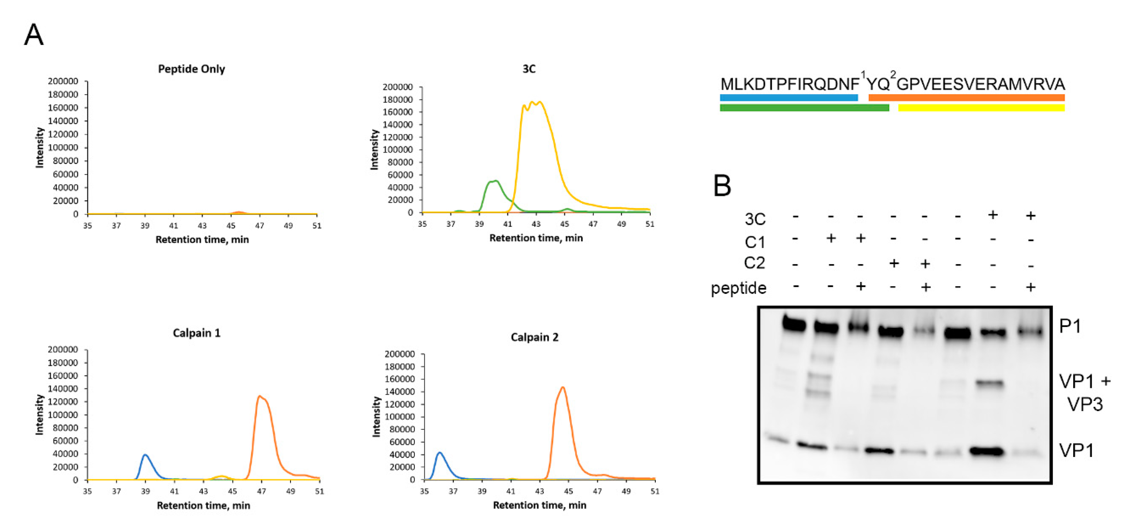 Viruses 11 01106 g005 Viruses 11 01106 g005