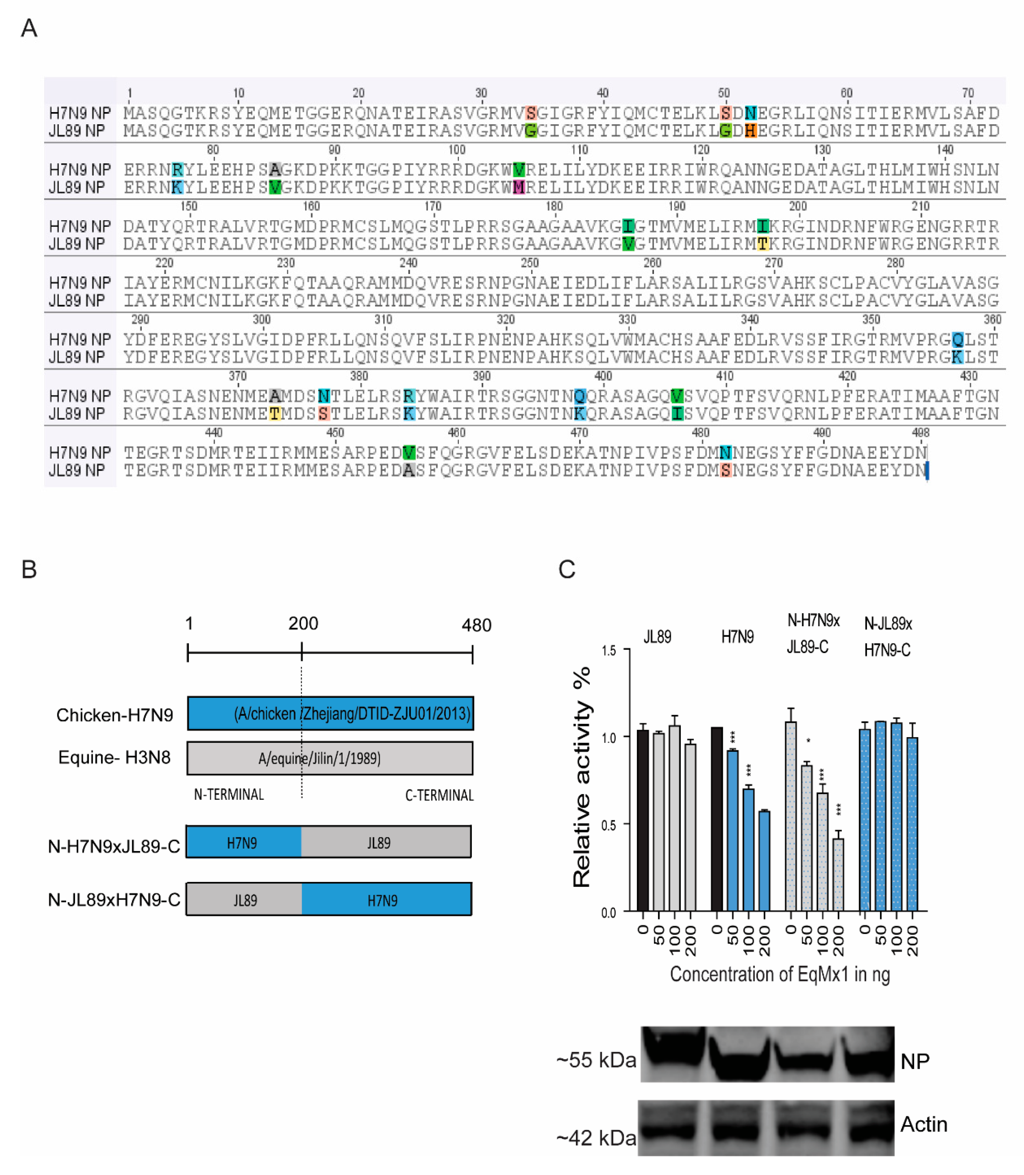 Viruses 11 01114 g004 Viruses 11 01114 g004