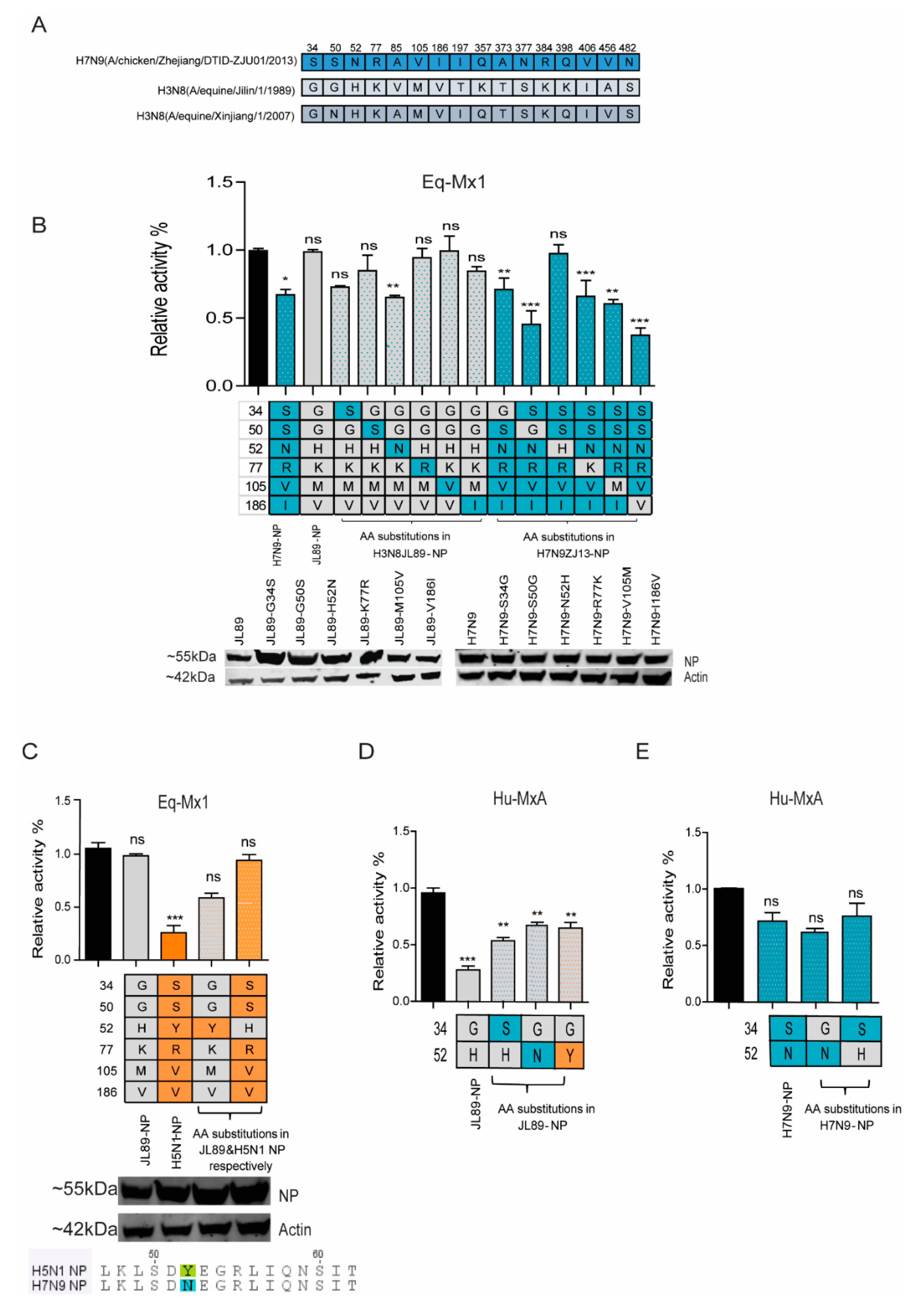 Viruses 11 01114 g005 Viruses 11 01114 g005