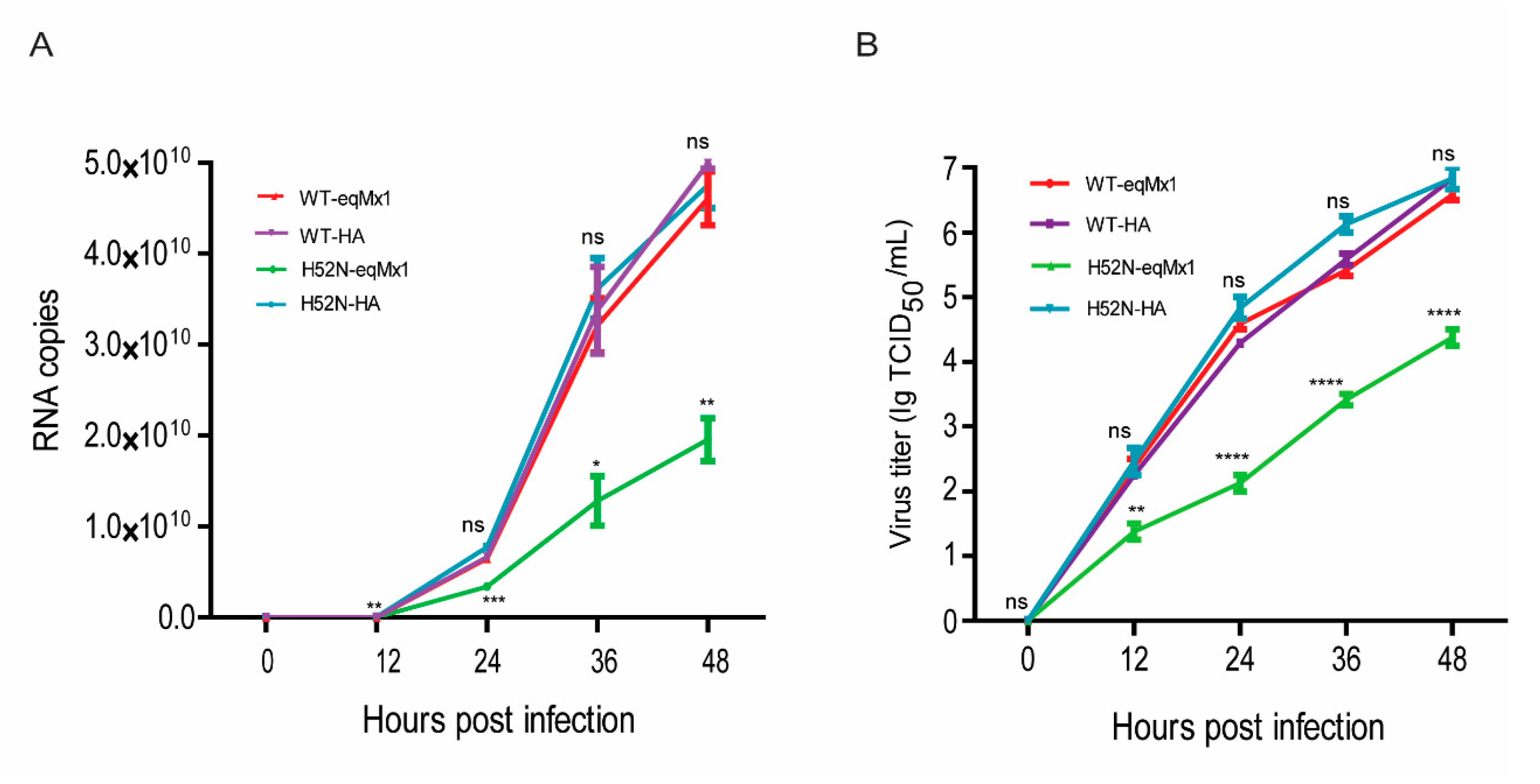 Viruses 11 01114 g007 Viruses 11 01114 g007