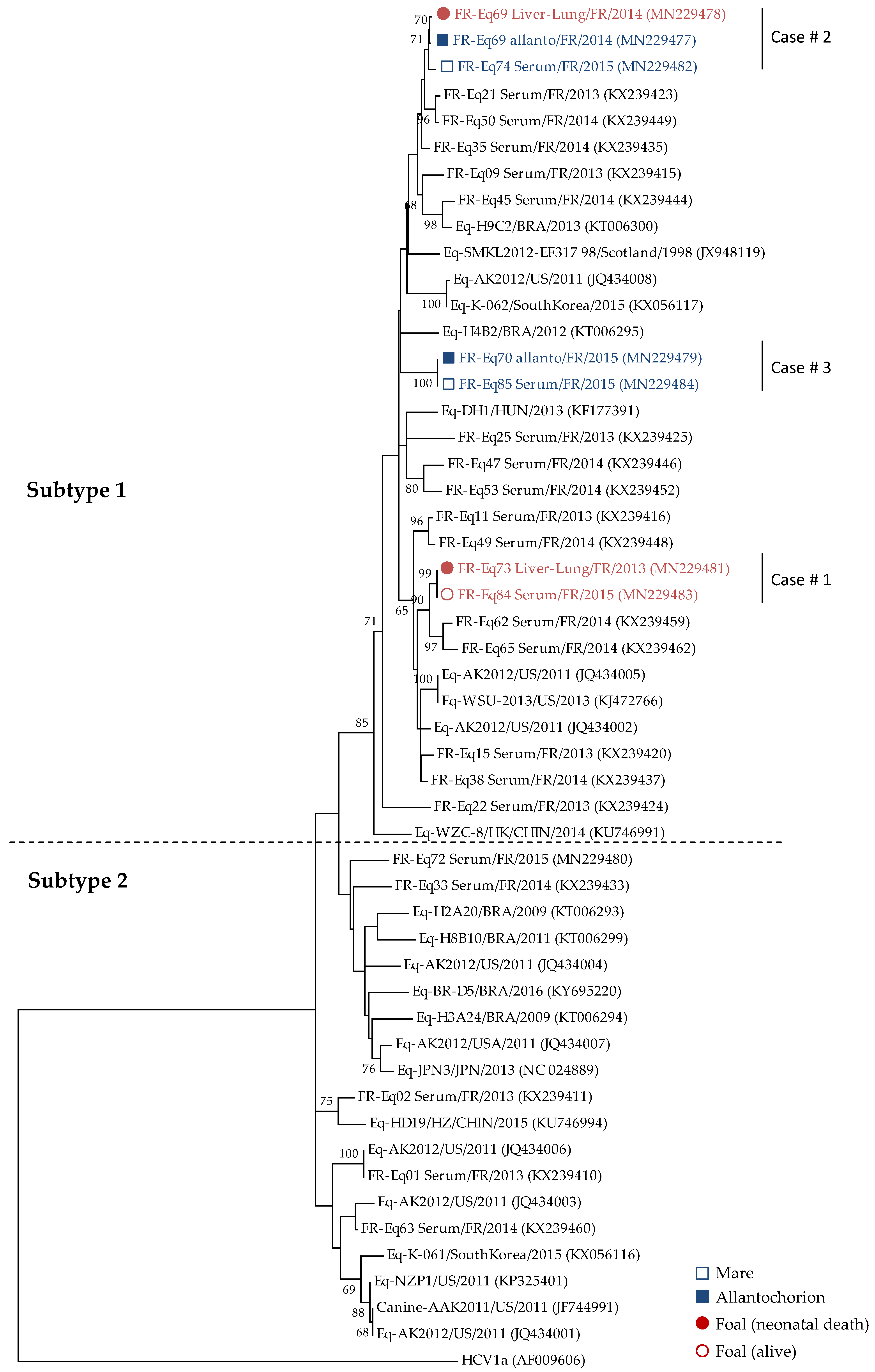 Viruses 11 01124 g002 Viruses 11 01124 g002
