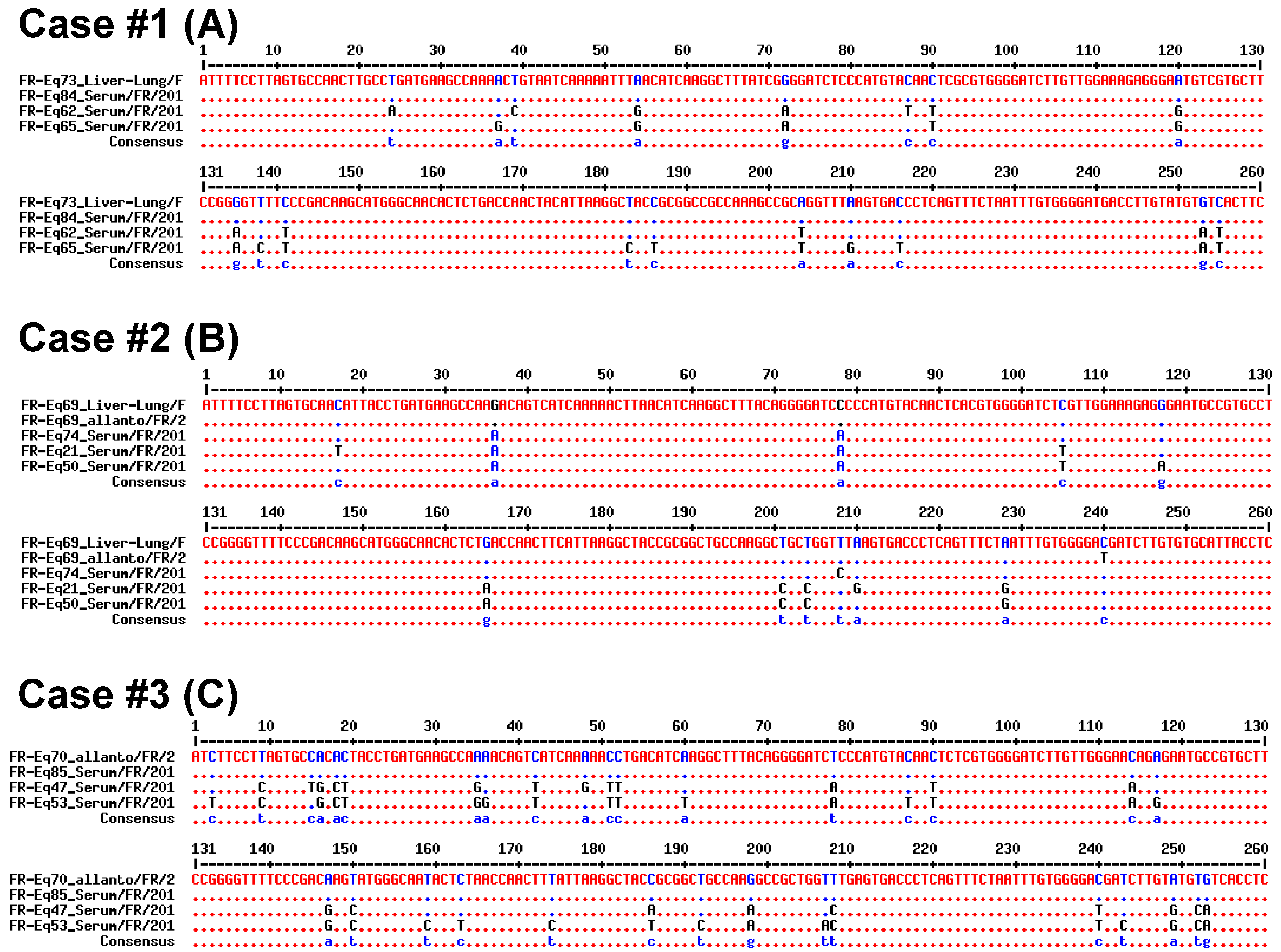 Viruses 11 01124 g003 Viruses 11 01124 g003