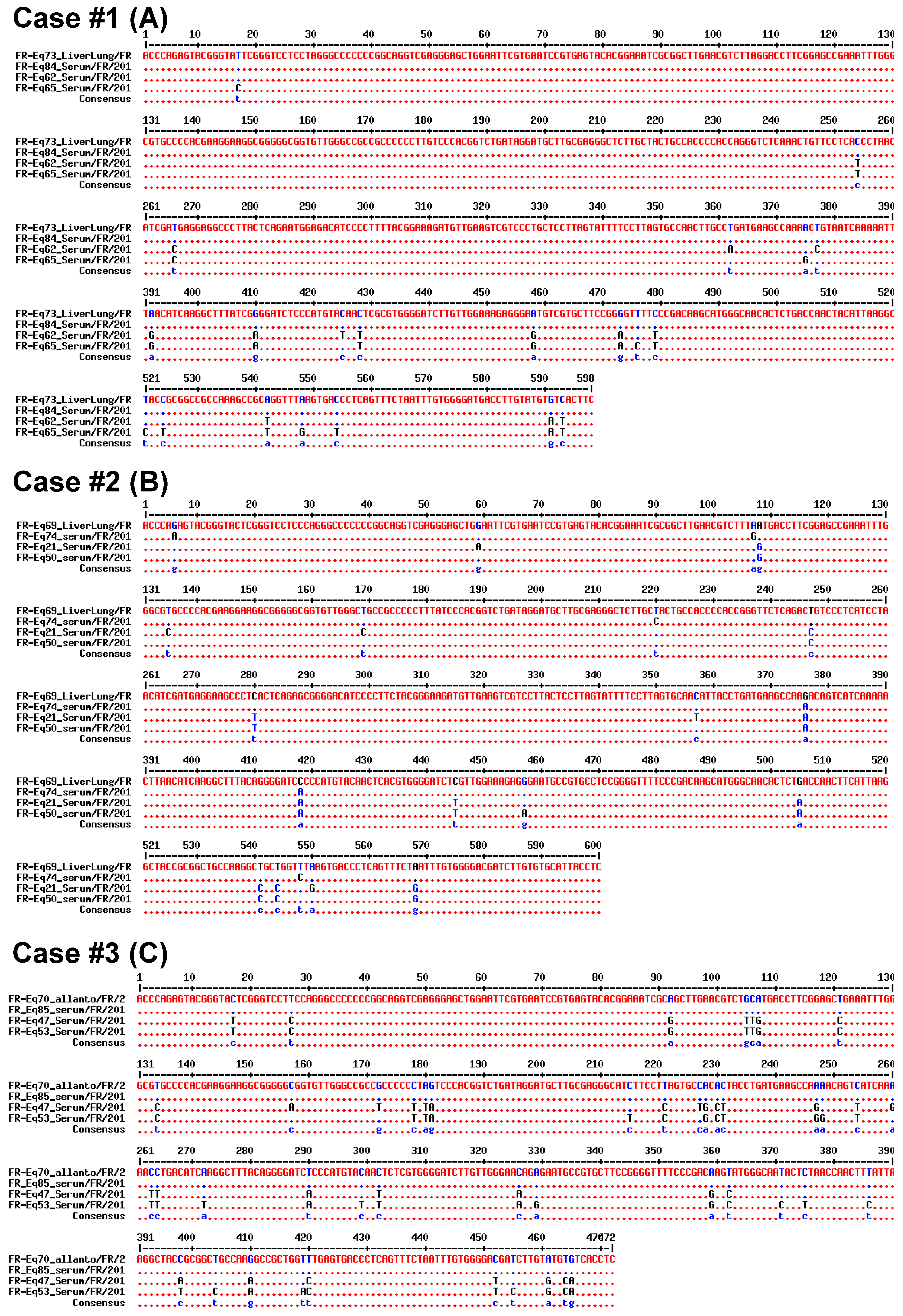 Viruses 11 01124 g004 Viruses 11 01124 g004