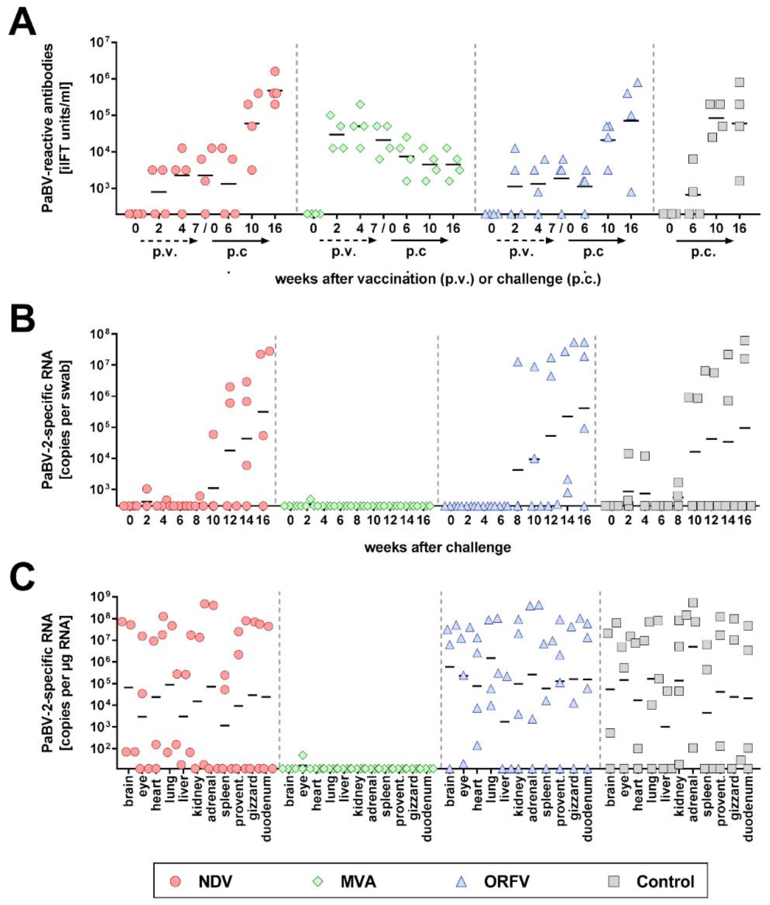 Viruses 11 01130 g001