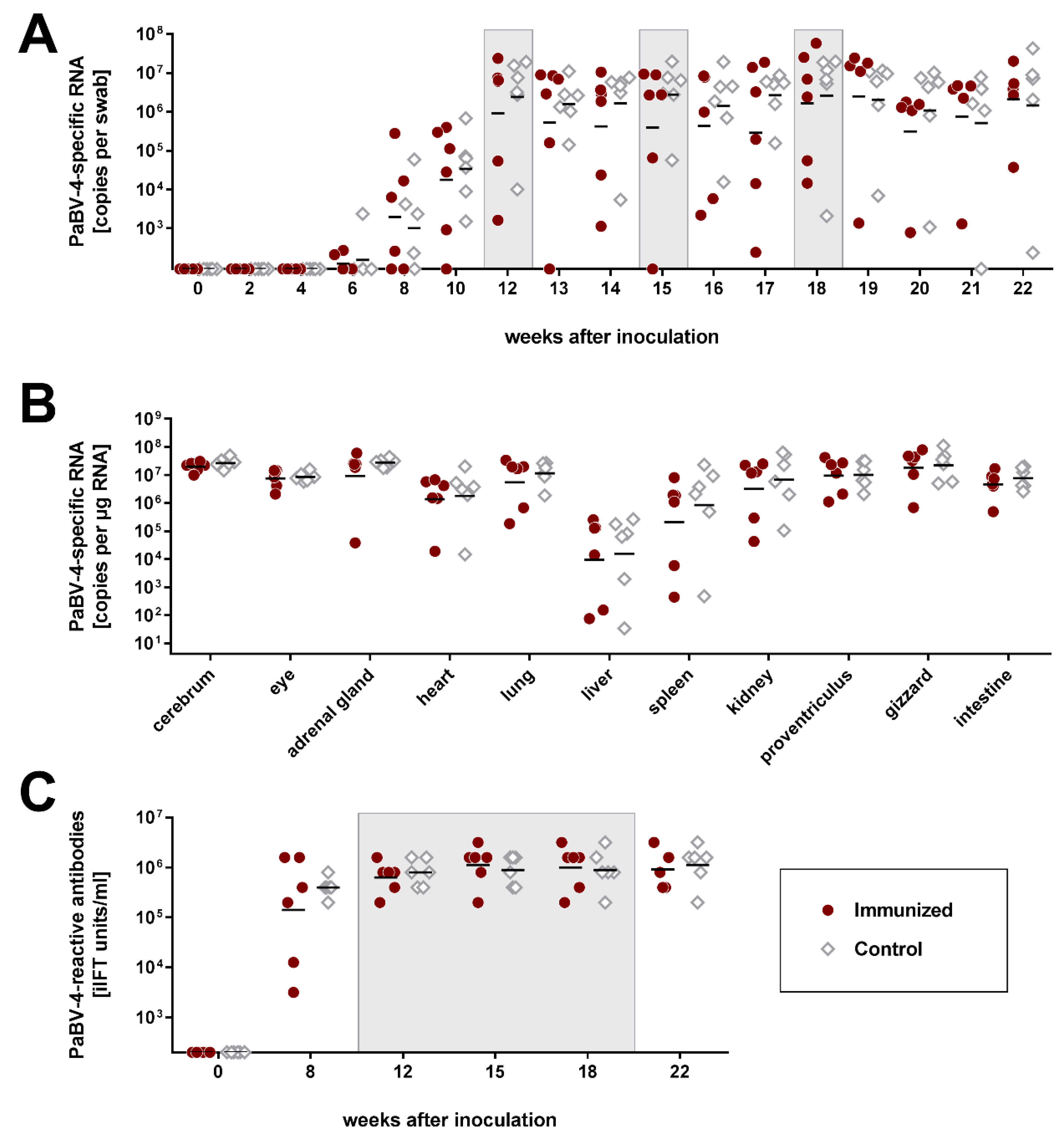 Viruses 11 01130 g002