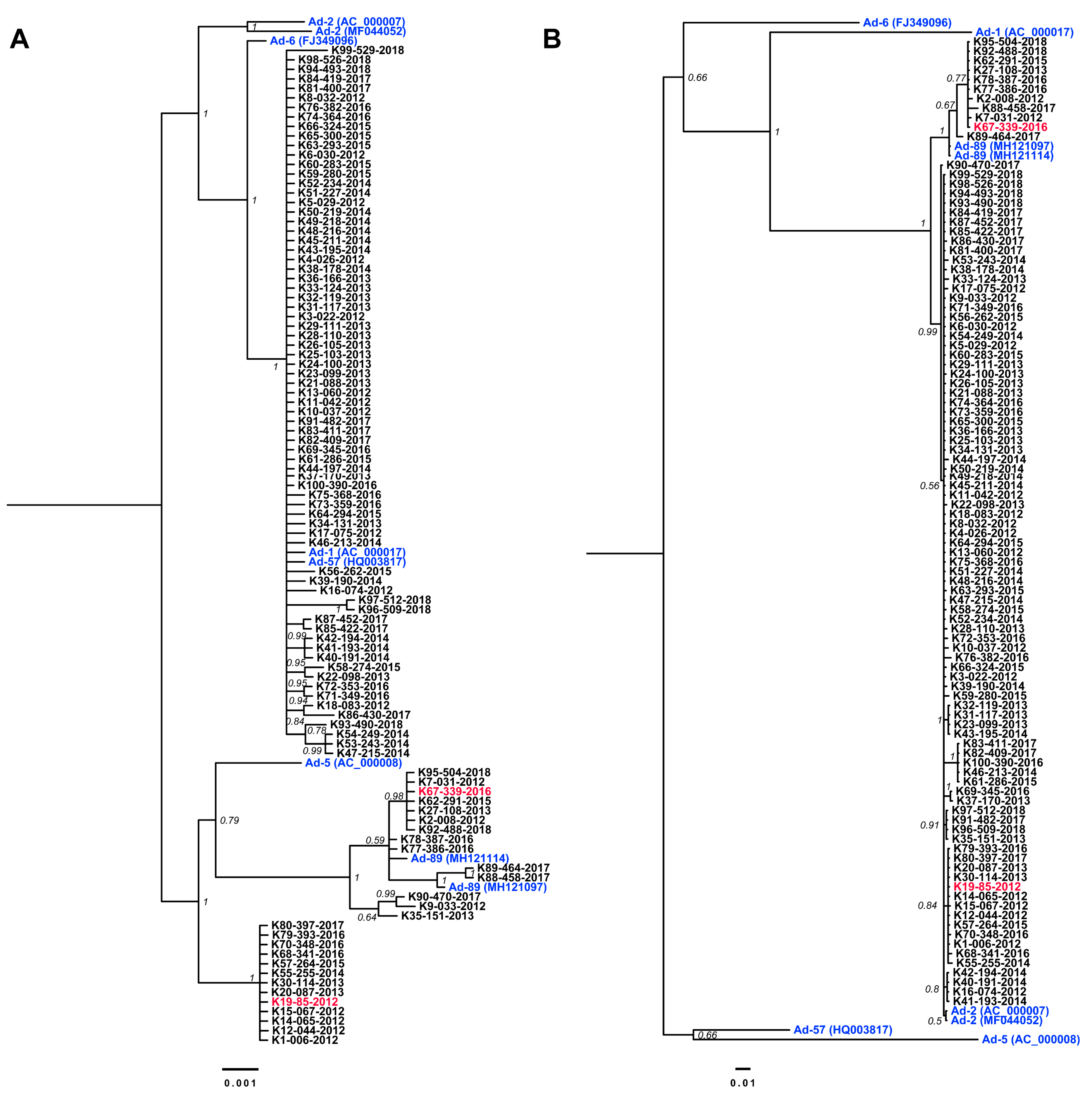 Viruses 11 01131 g002