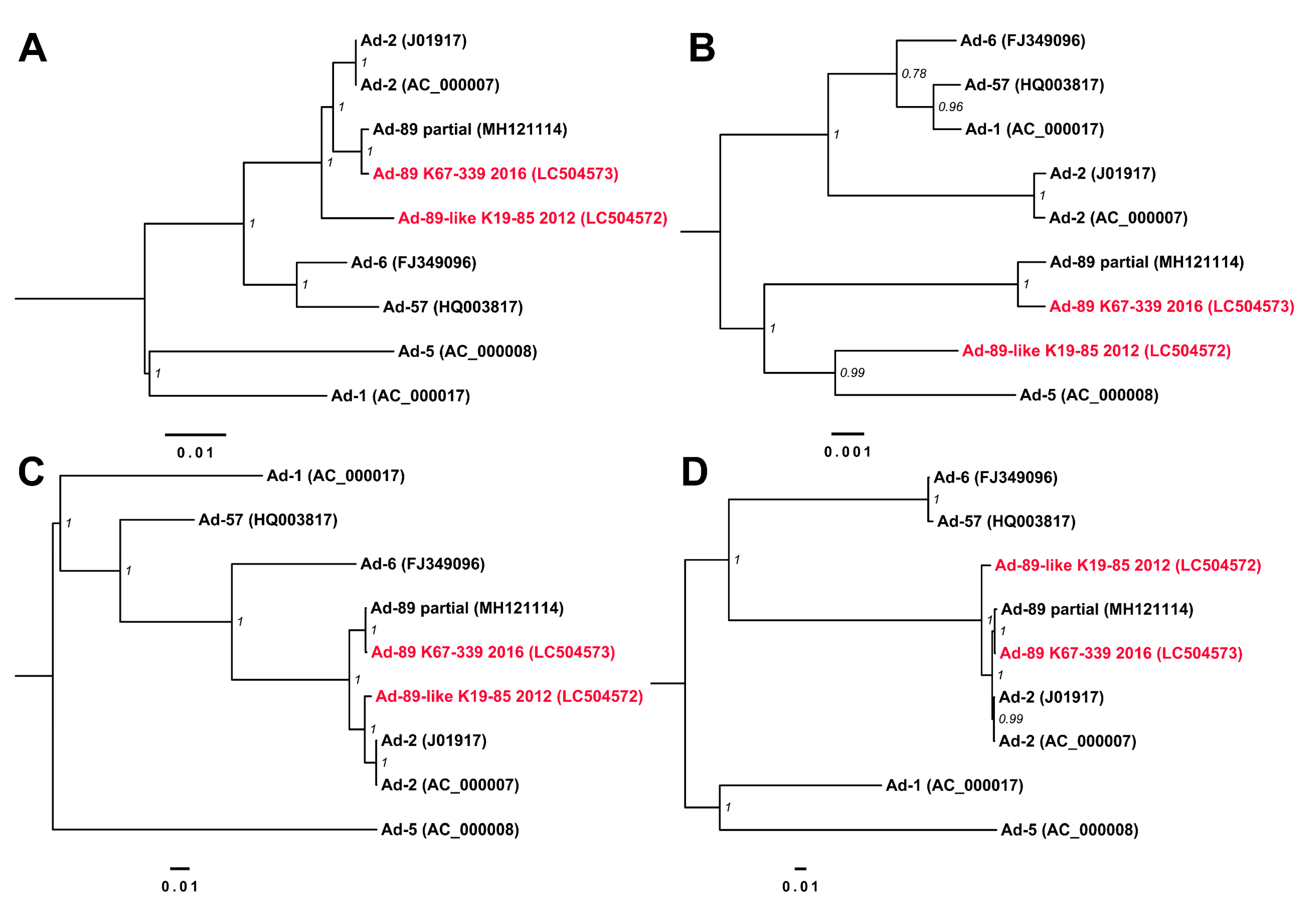 Viruses 11 01131 g003