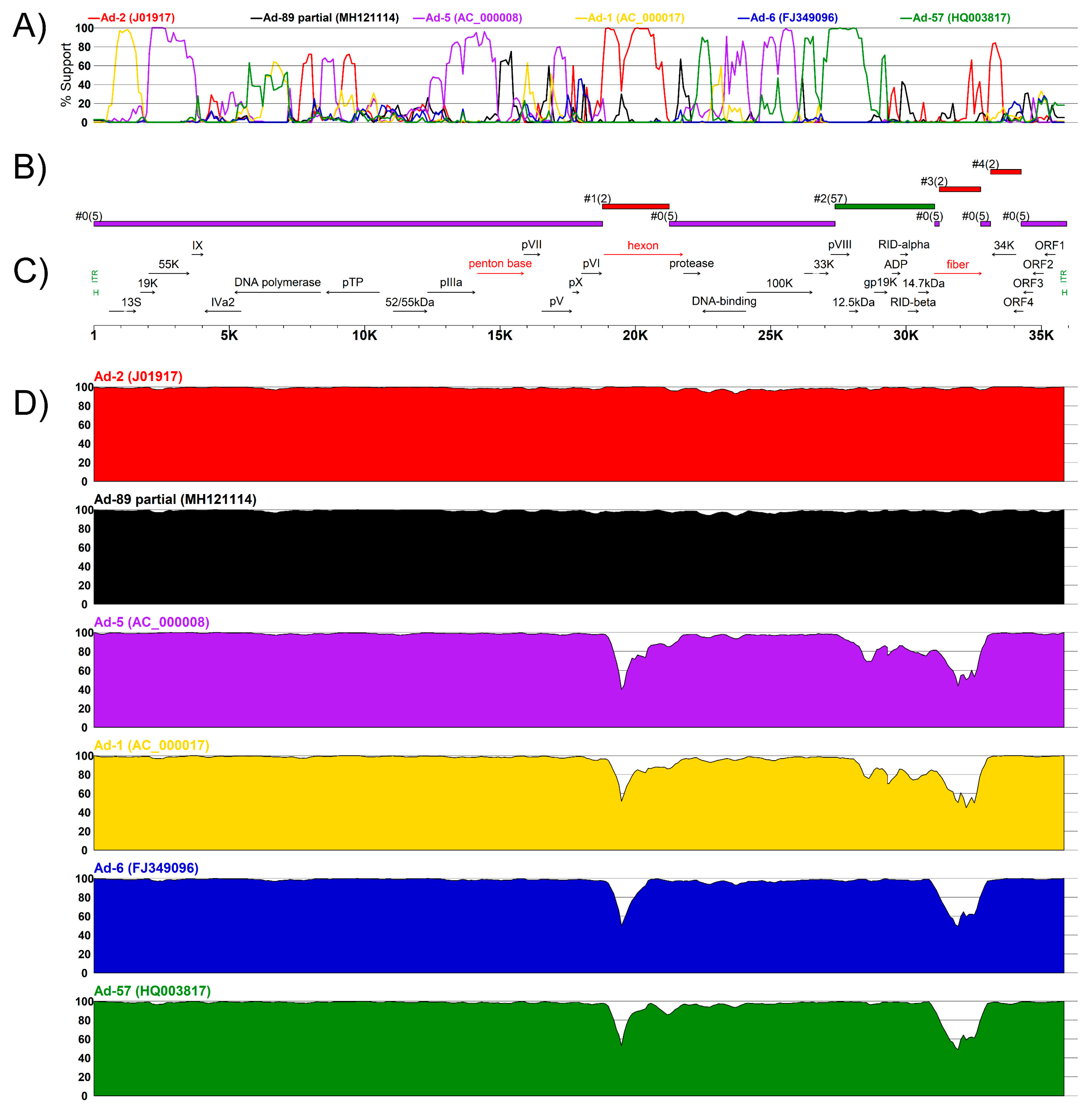 Viruses 11 01131 g004