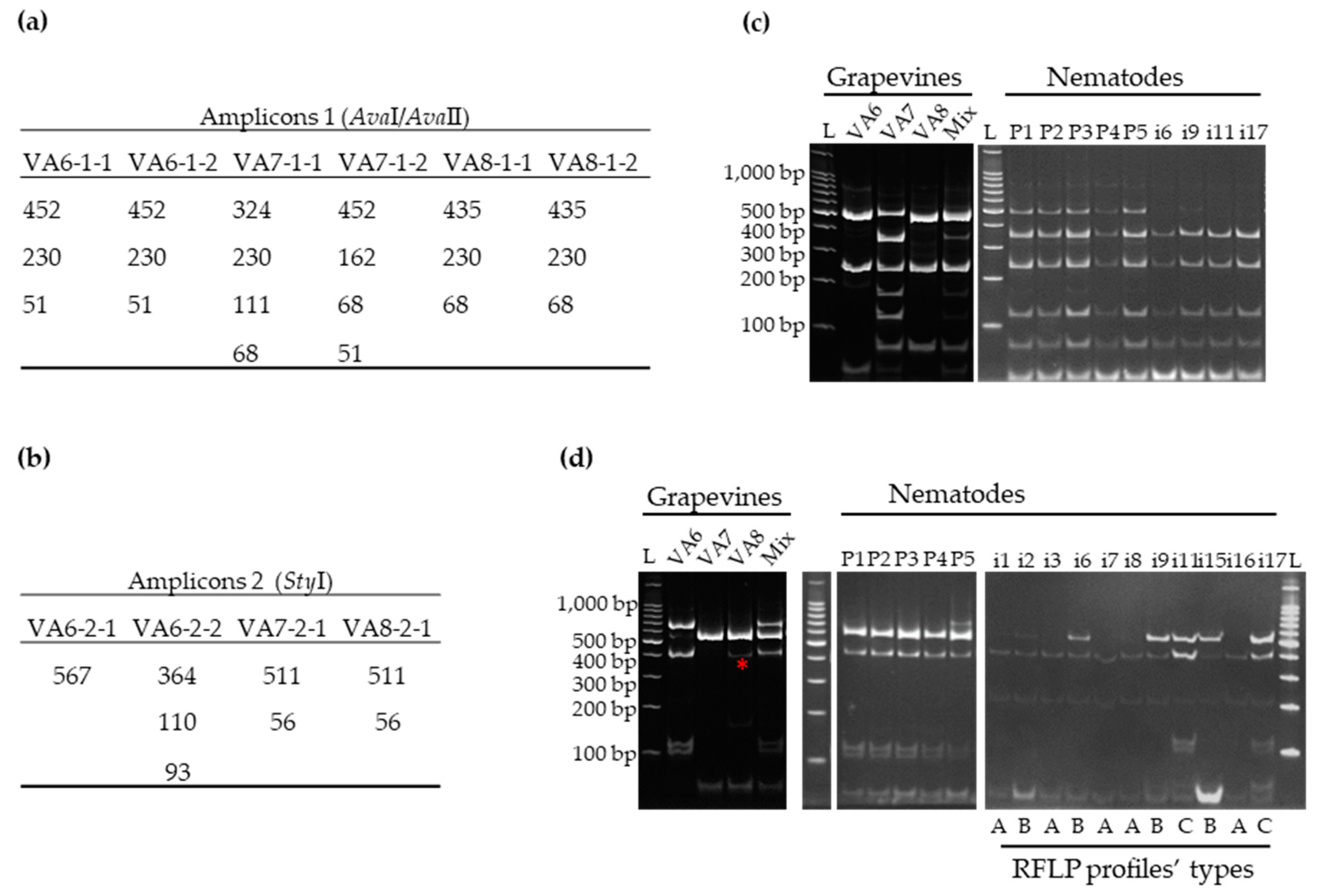 Viruses 11 01139 g002