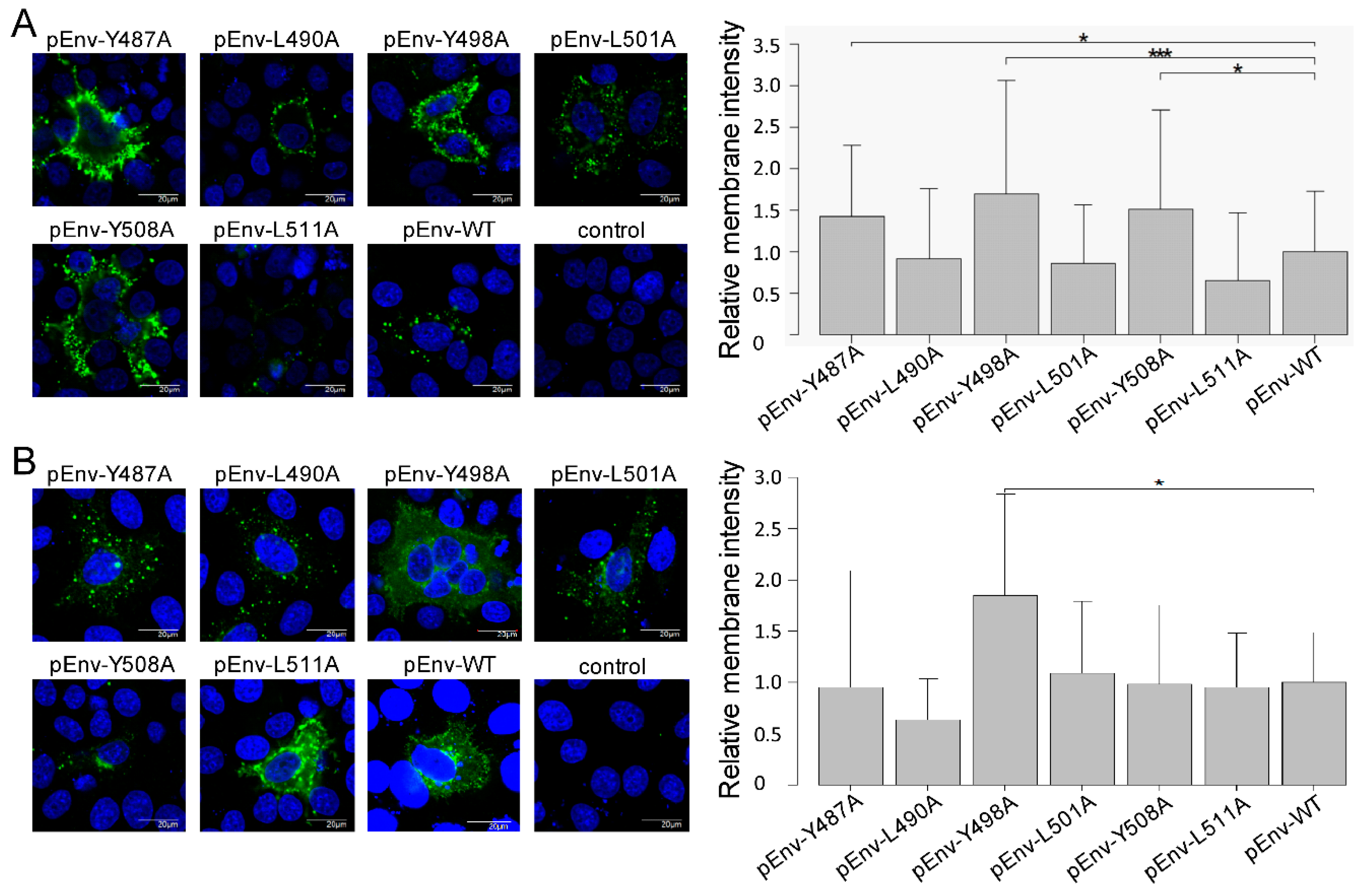 Viruses 11 01140 g004