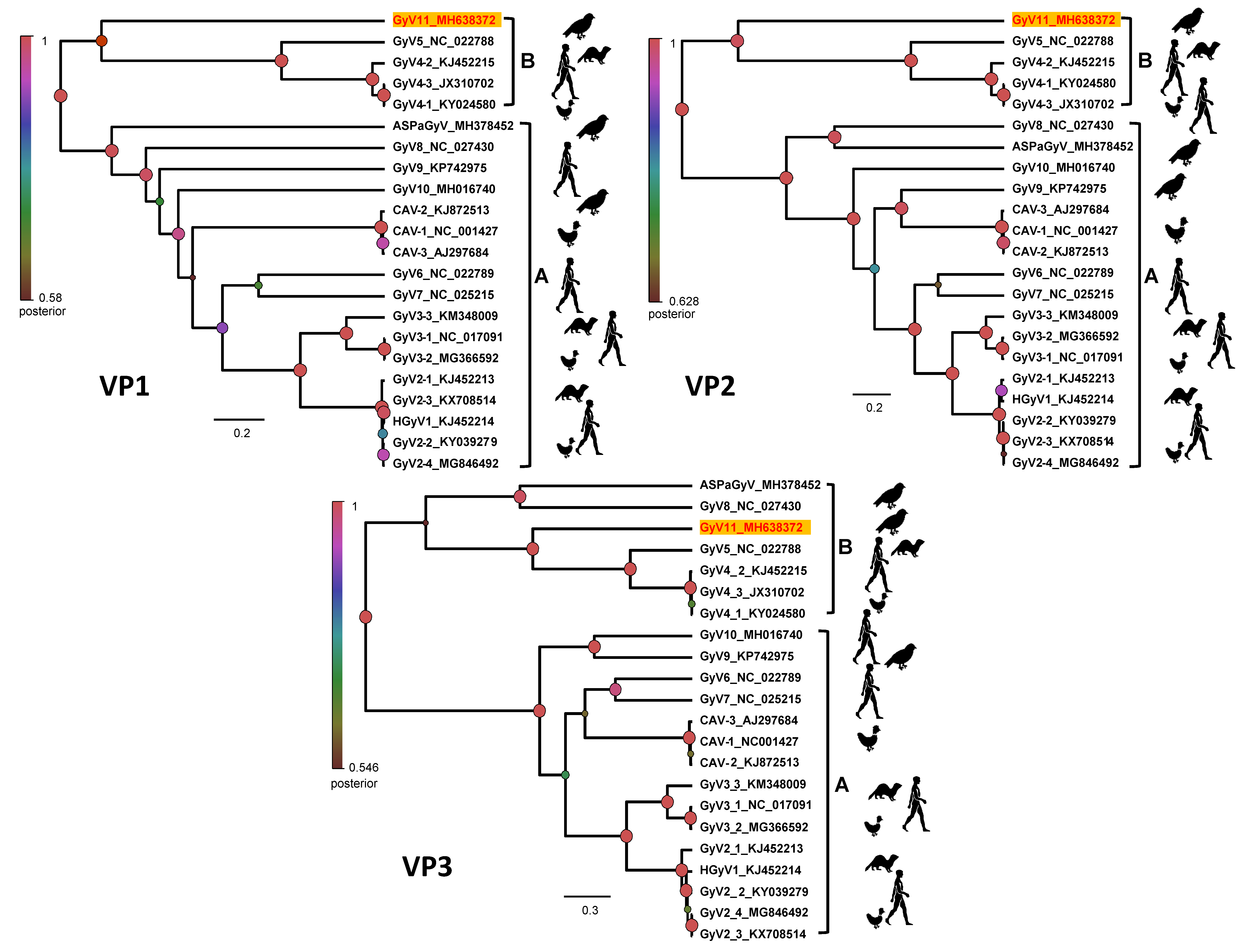 Viruses 11 01148 g003 Viruses 11 01148 g003