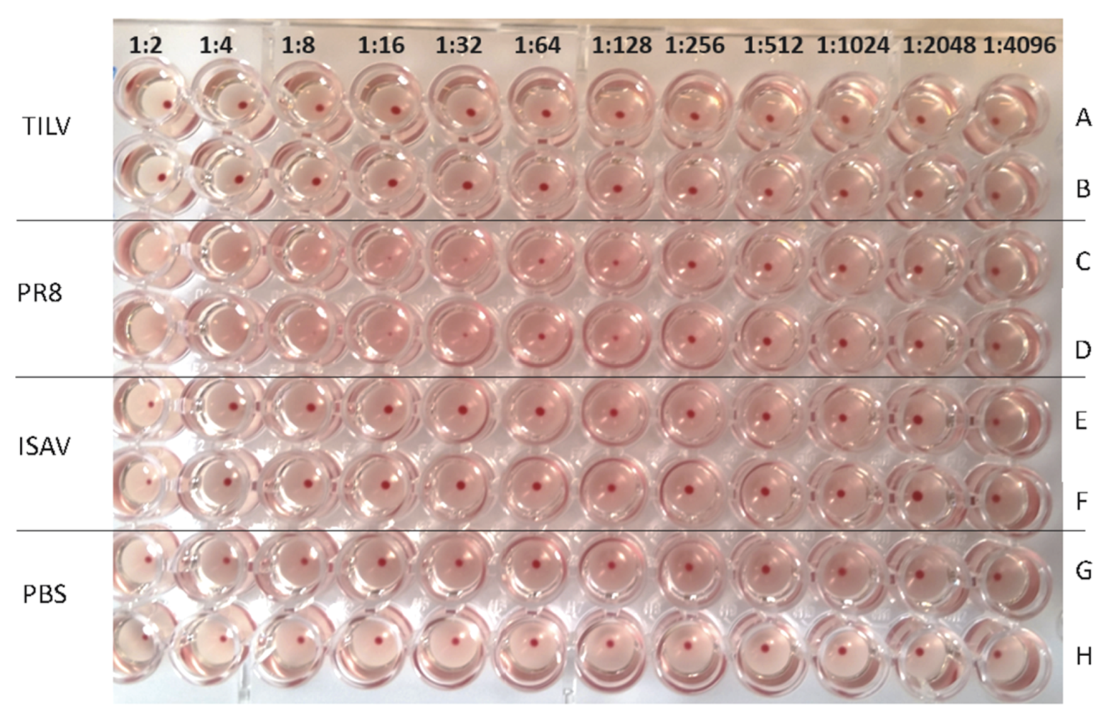 Viruses 11 01152 g002