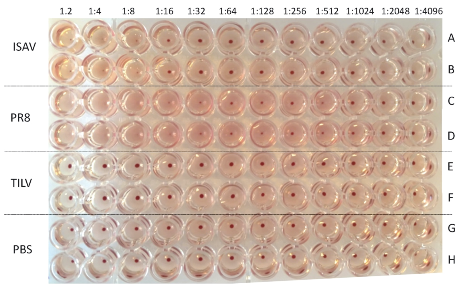 Viruses 11 01152 g003