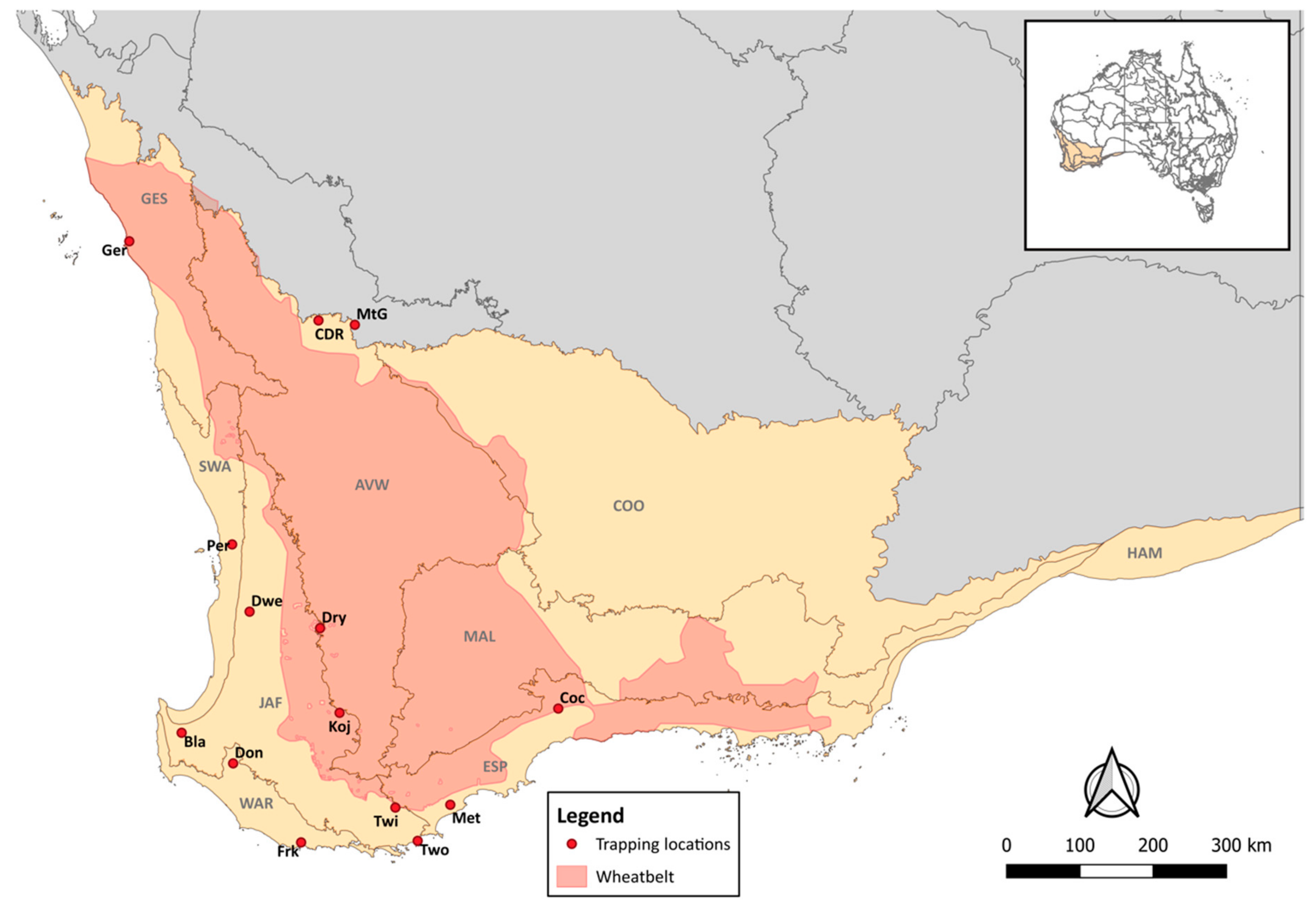 Viruses 11 01157 g001