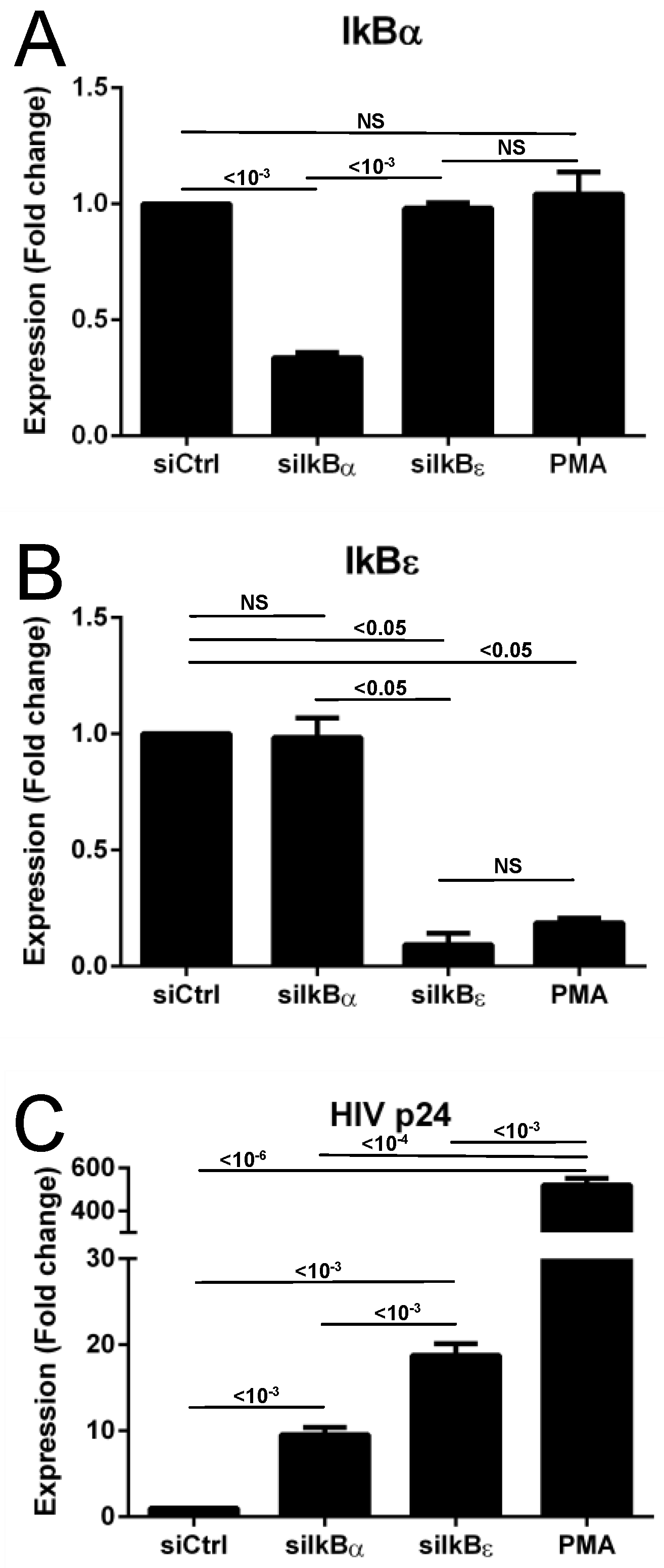 Viruses 11 01162 g001