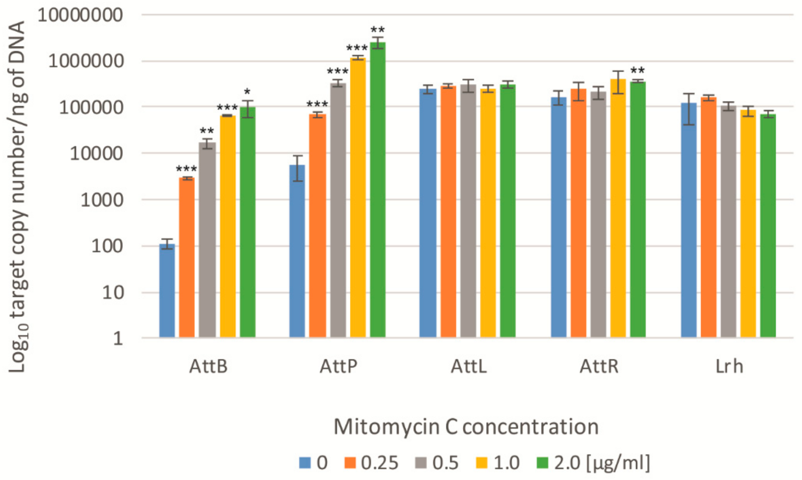 Viruses 11 01163 g005