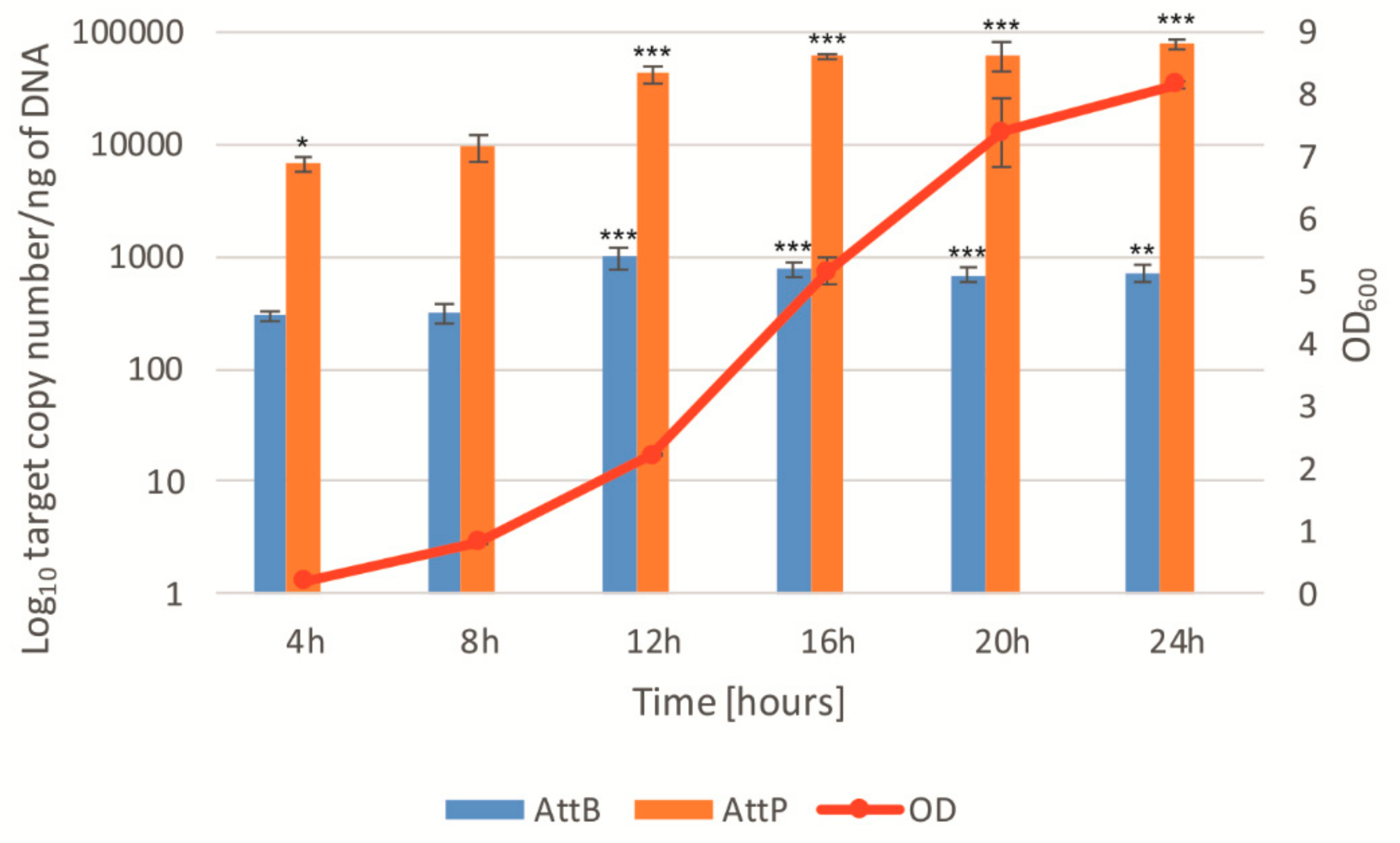 Viruses 11 01163 g006