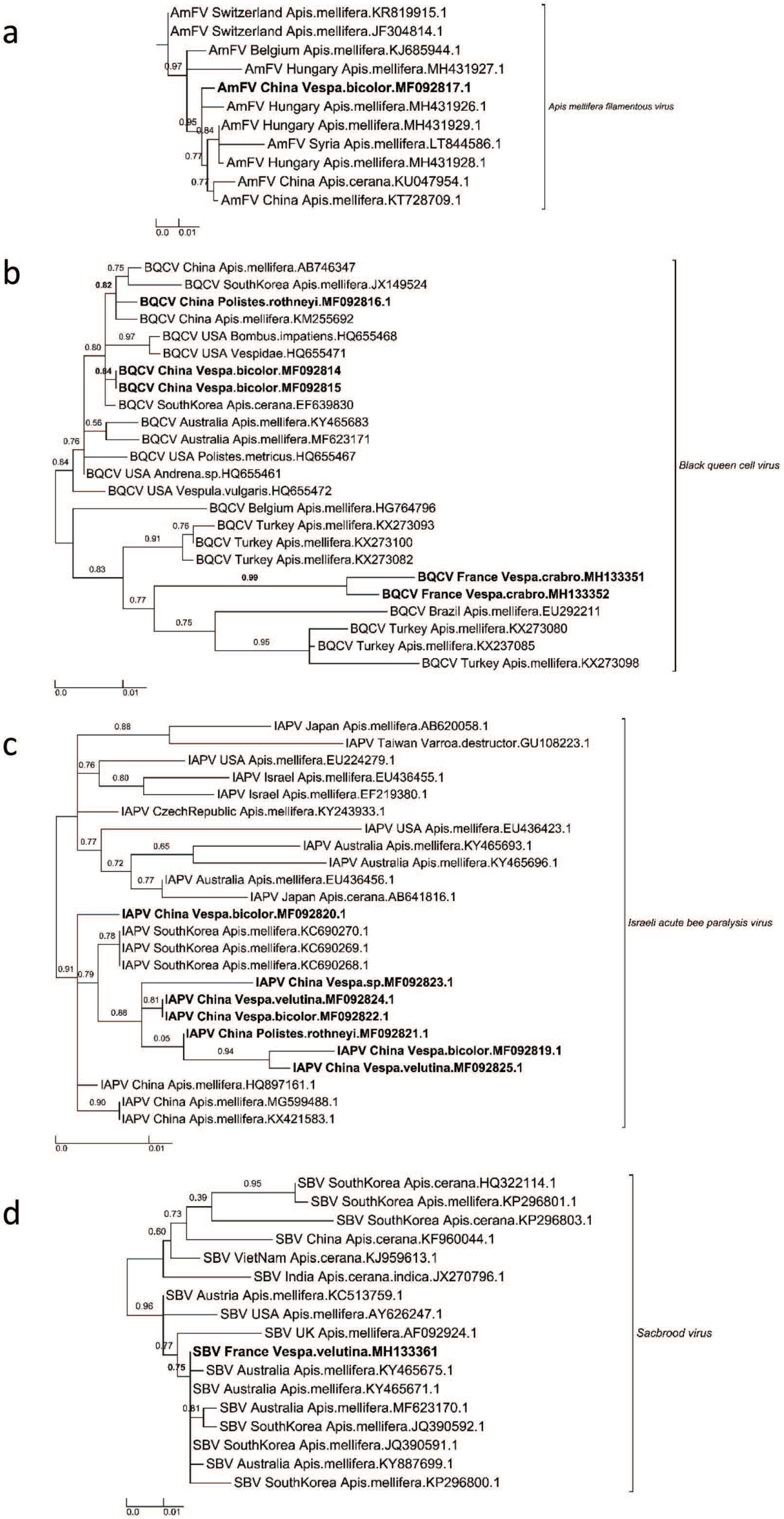 Viruses 12 00006 g002