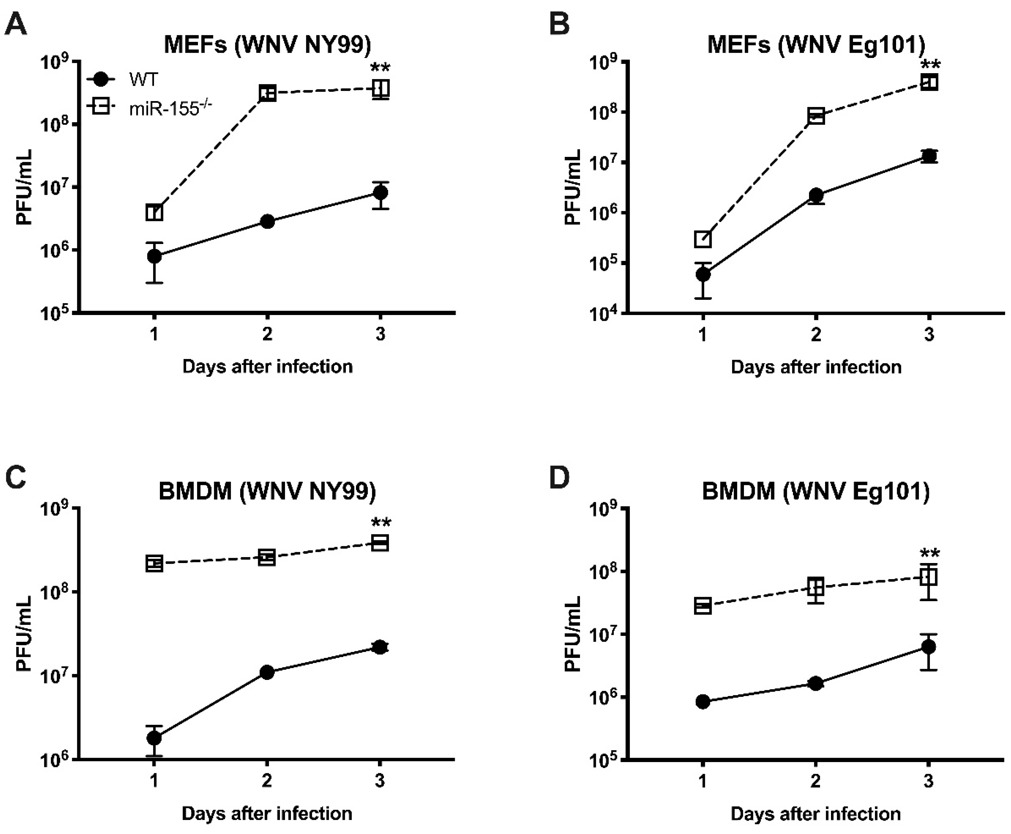 Viruses 12 00009 g006 Viruses 12 00009 g006