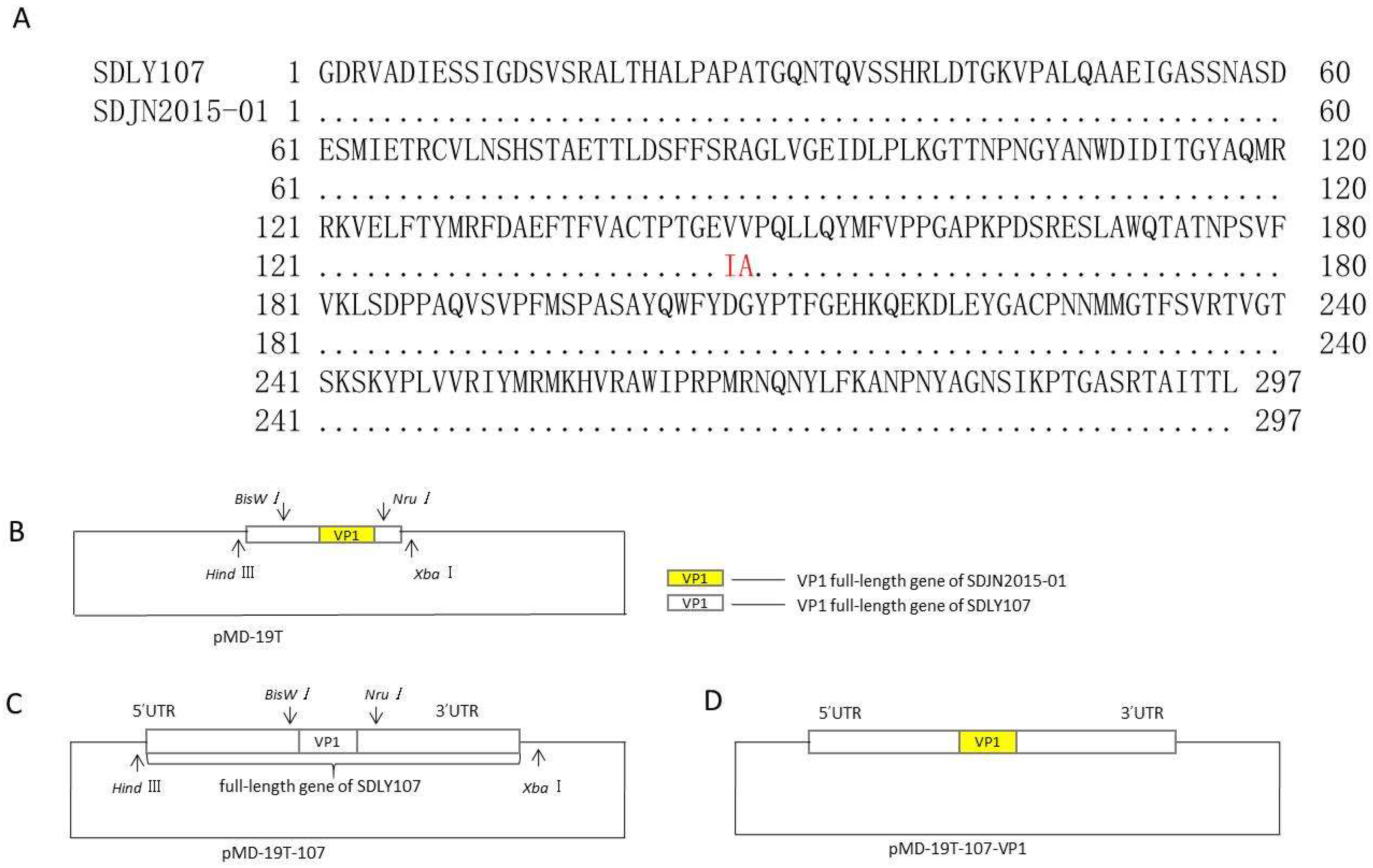Viruses 12 00011 g001