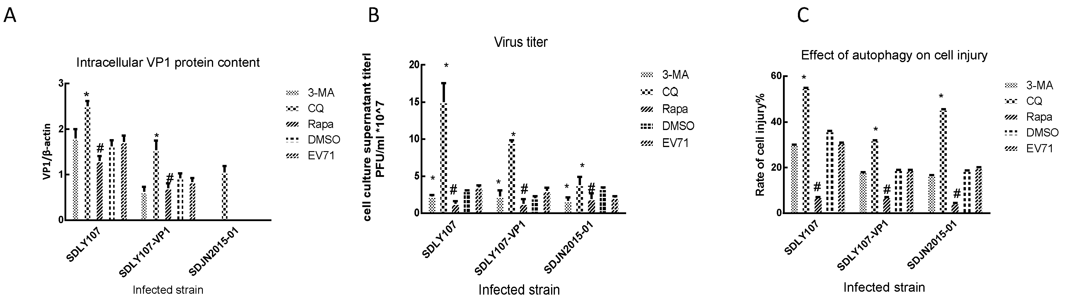 Viruses 12 00011 g006