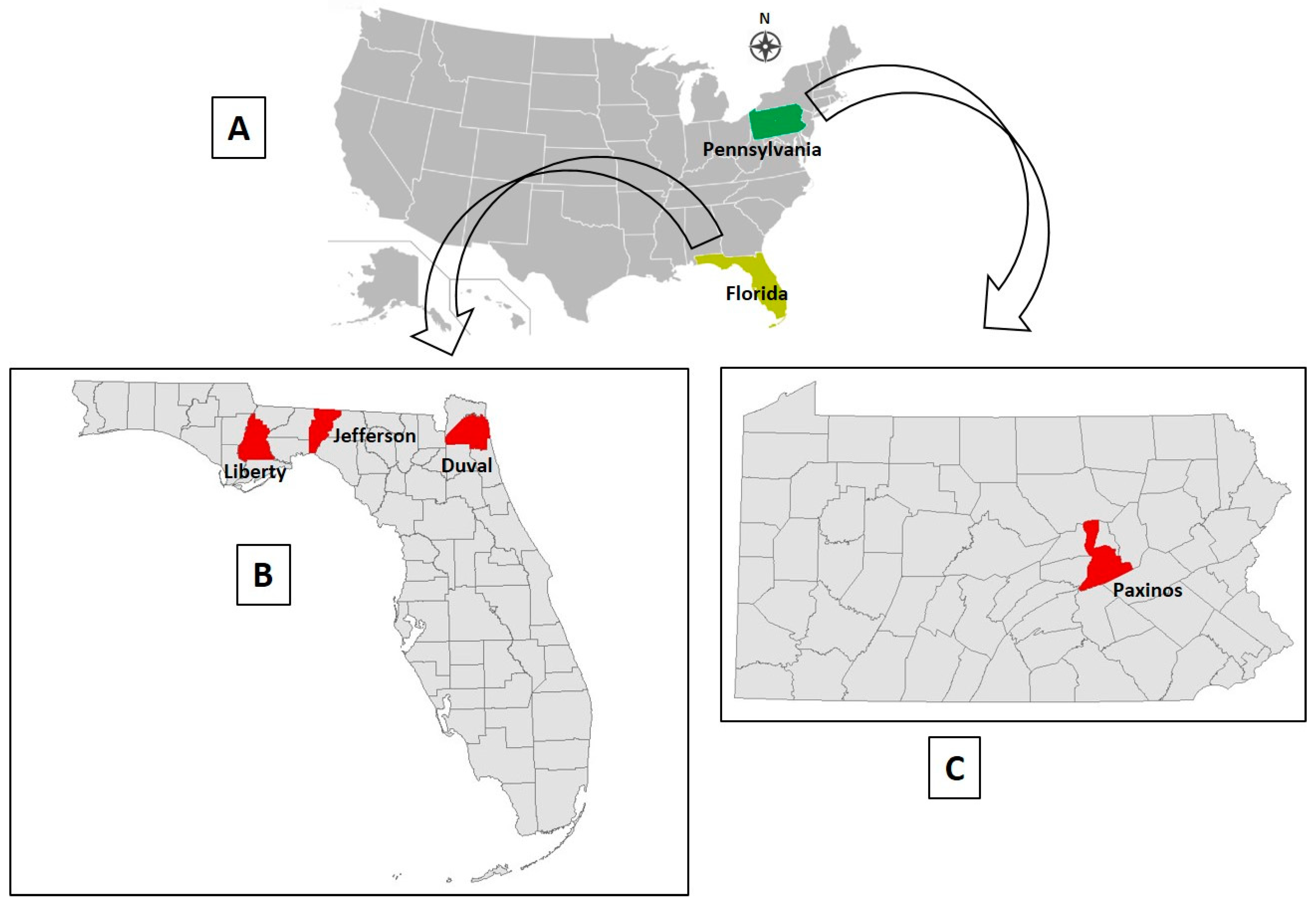 Viruses 12 00013 g001
