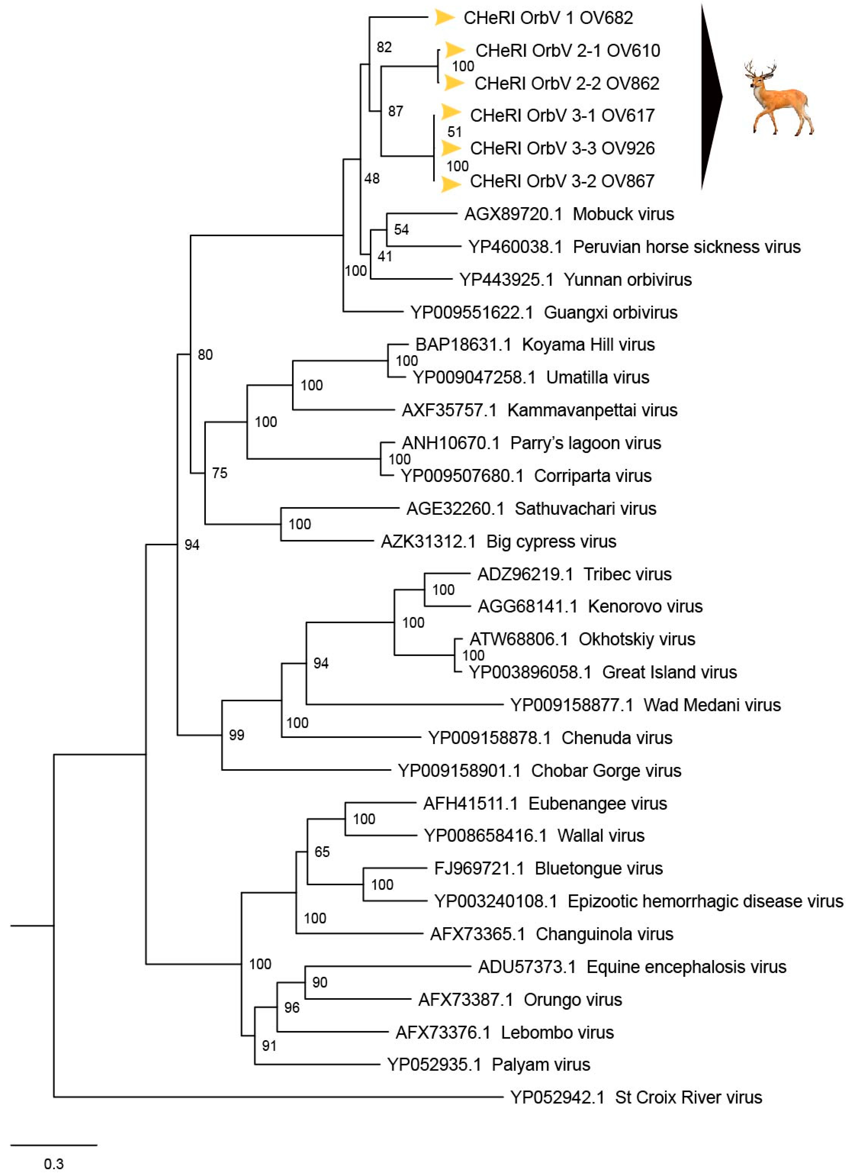Viruses 12 00013 g006