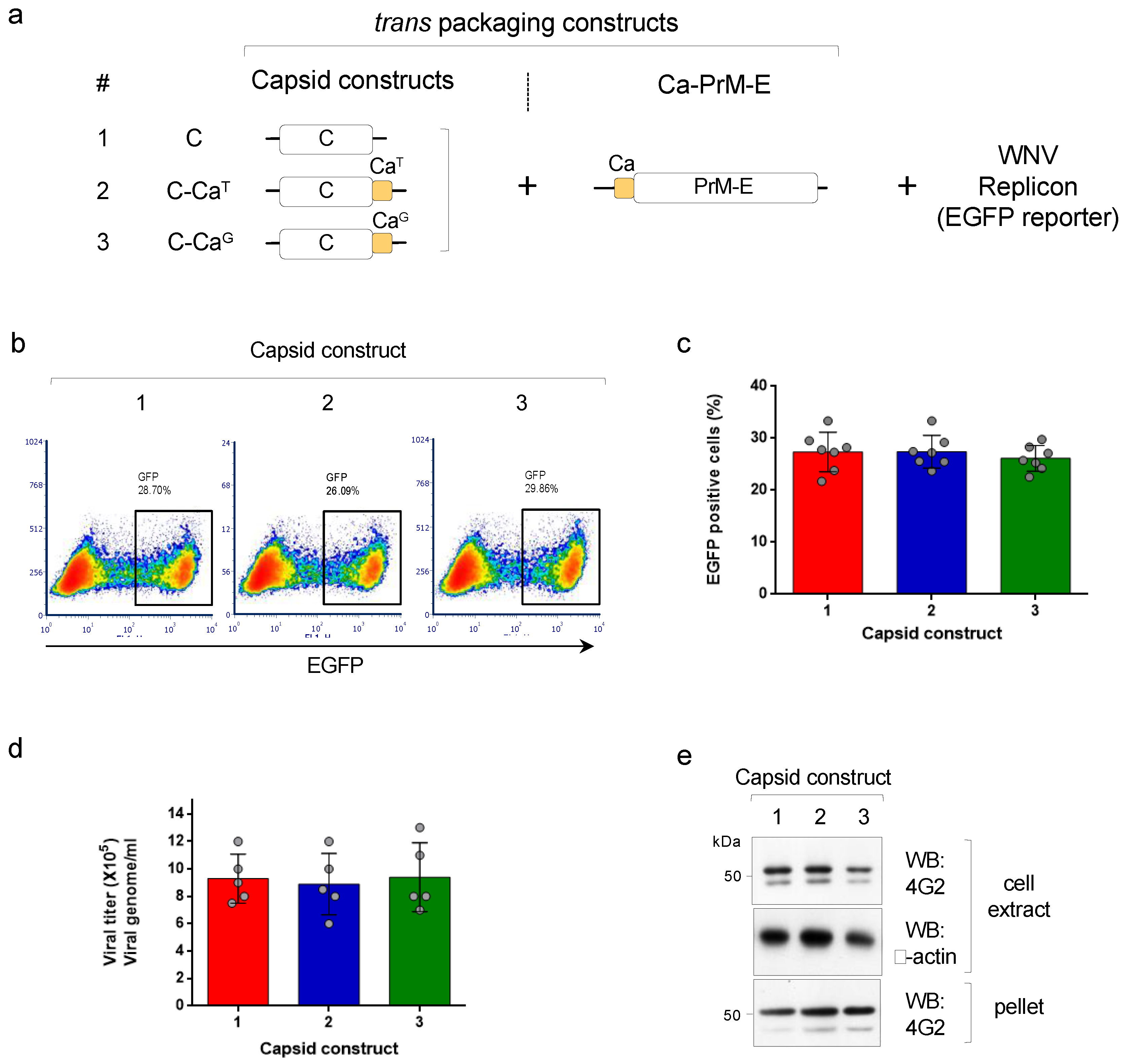 Viruses 12 00027 g001 Viruses 12 00027 g001