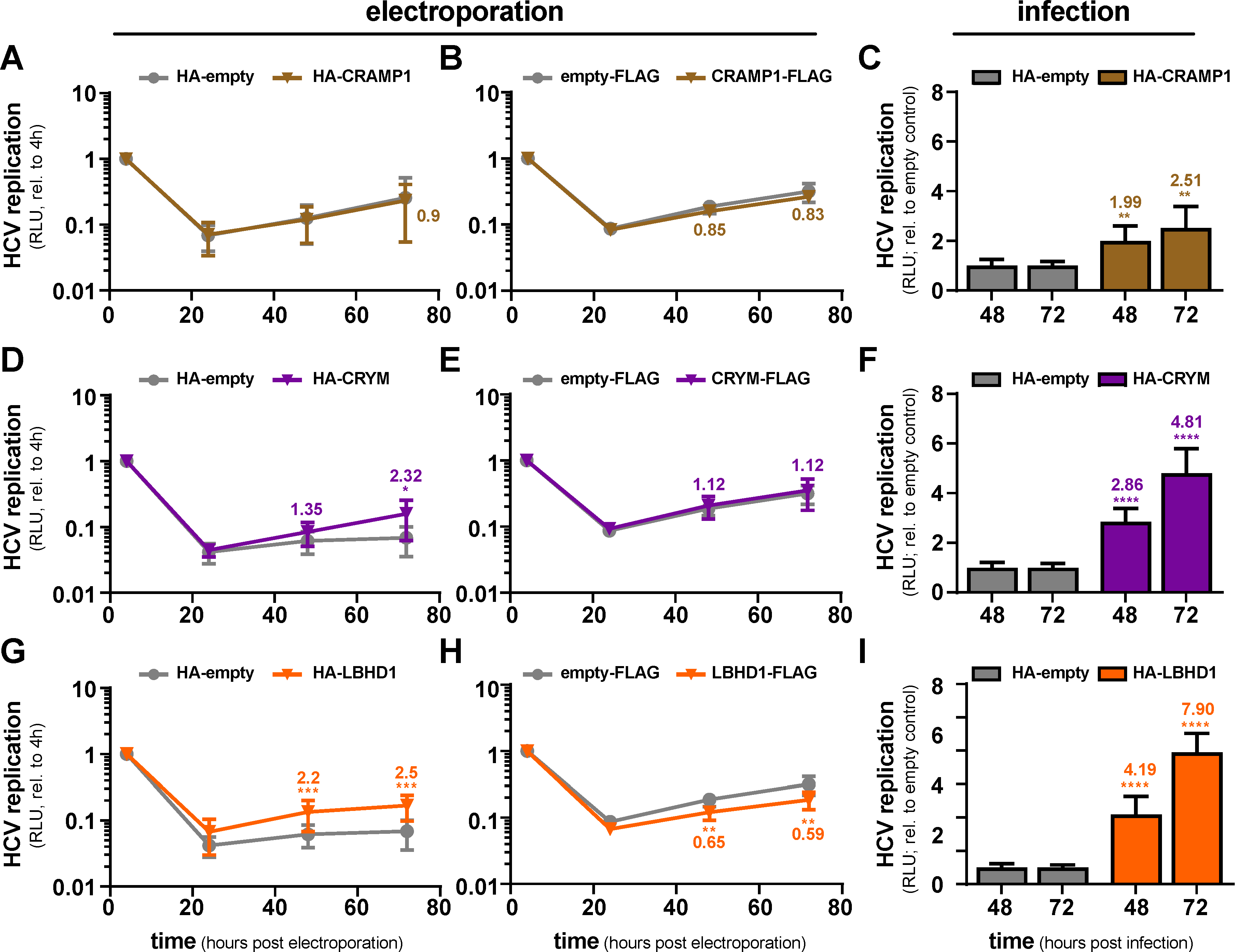Viruses 12 00036 g003
