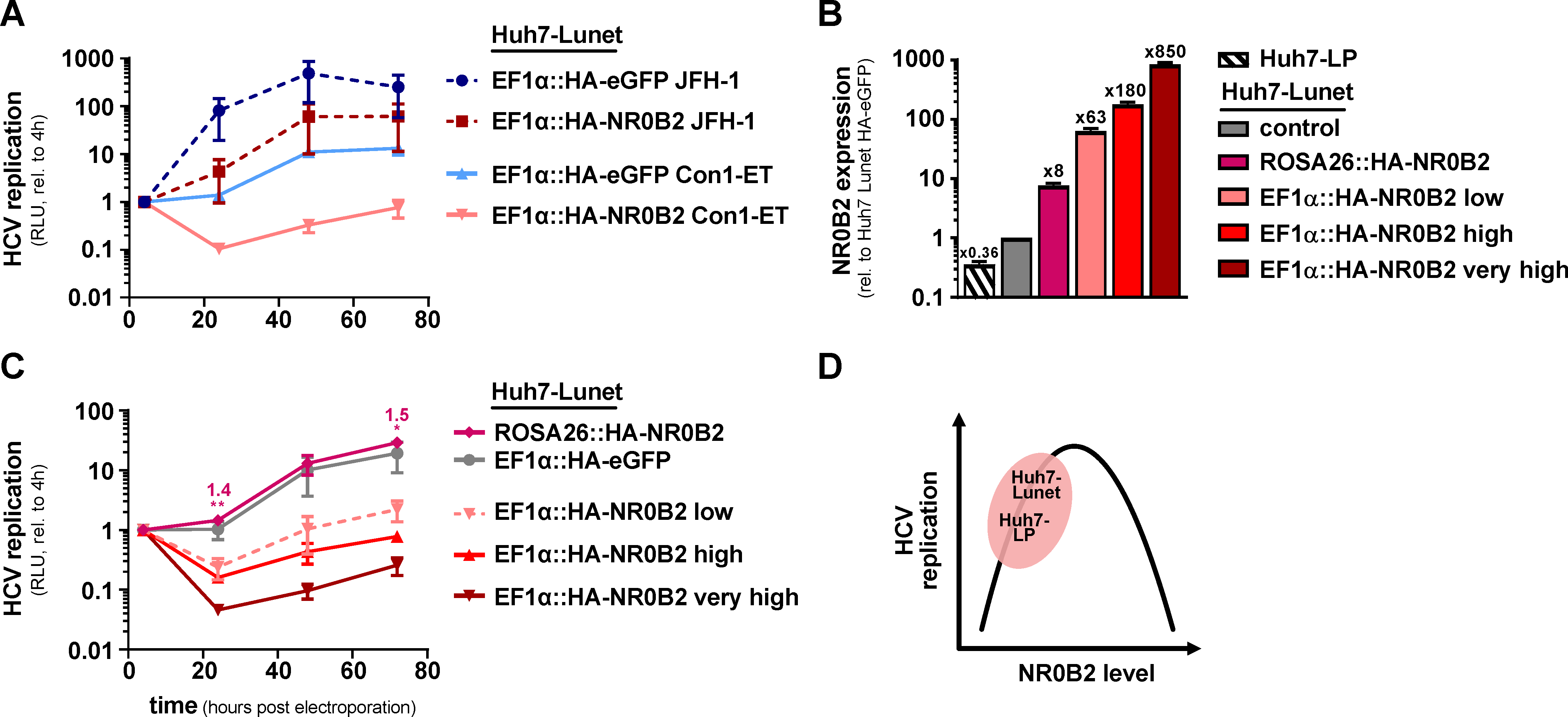 Viruses 12 00036 g006