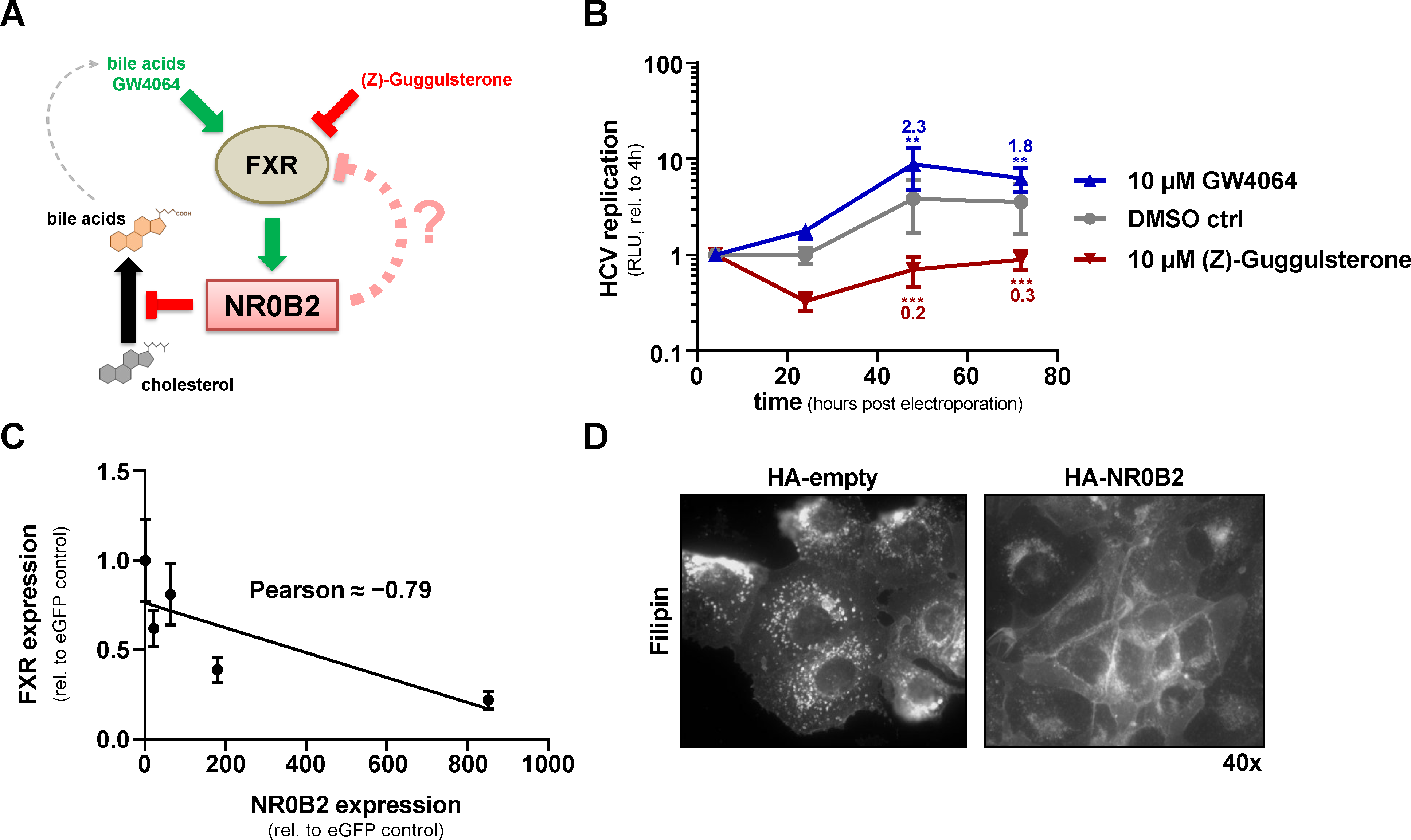 Viruses 12 00036 g008