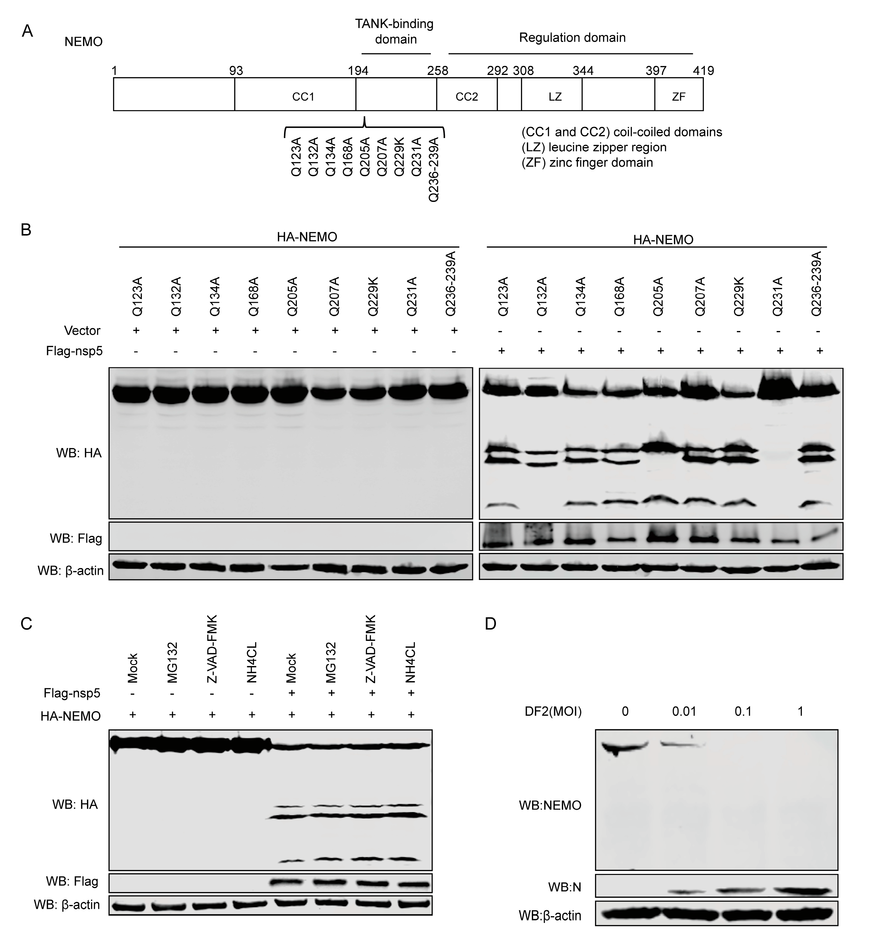 Viruses 12 00043 g004