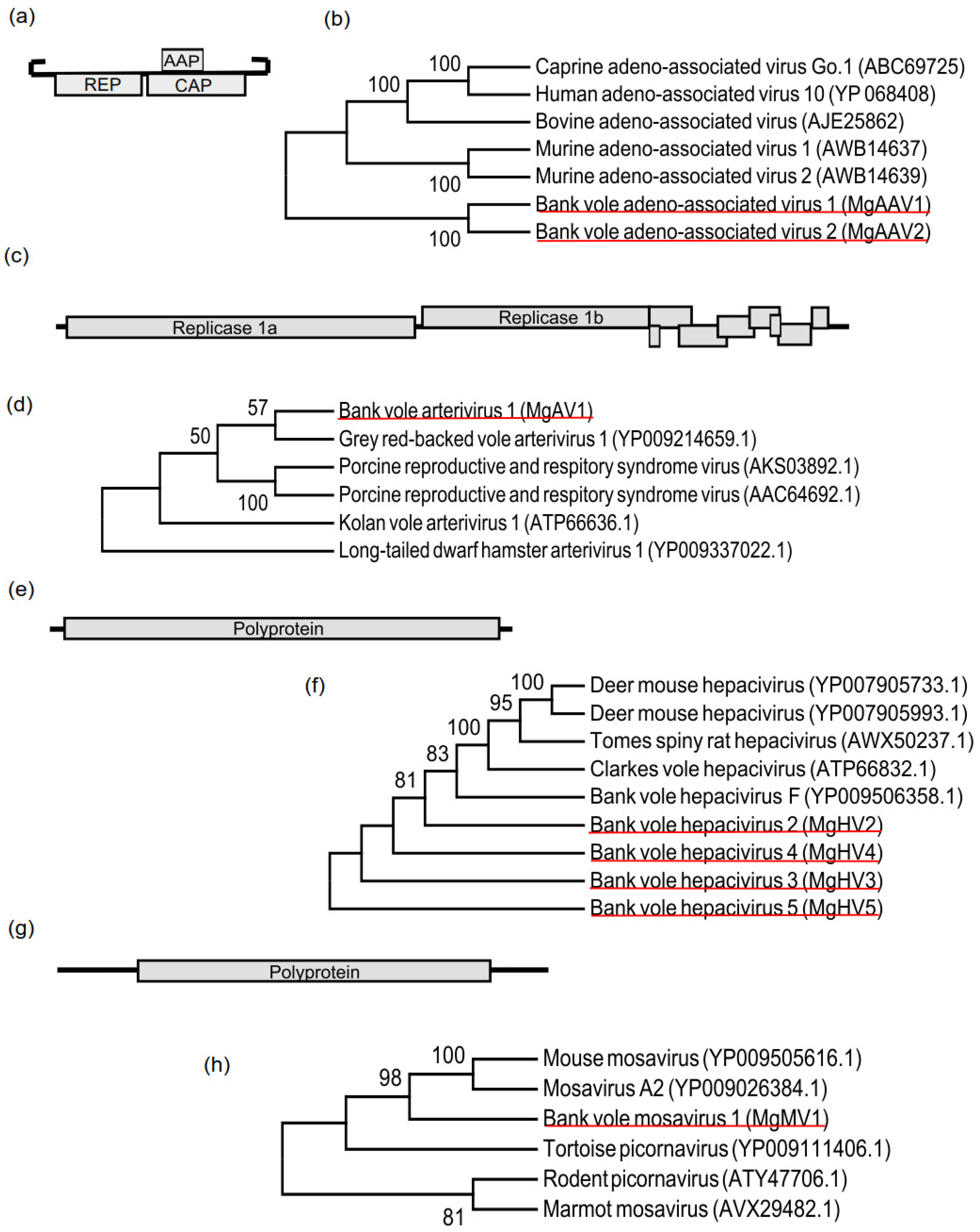 Viruses 12 00044 g002 Viruses 12 00044 g002