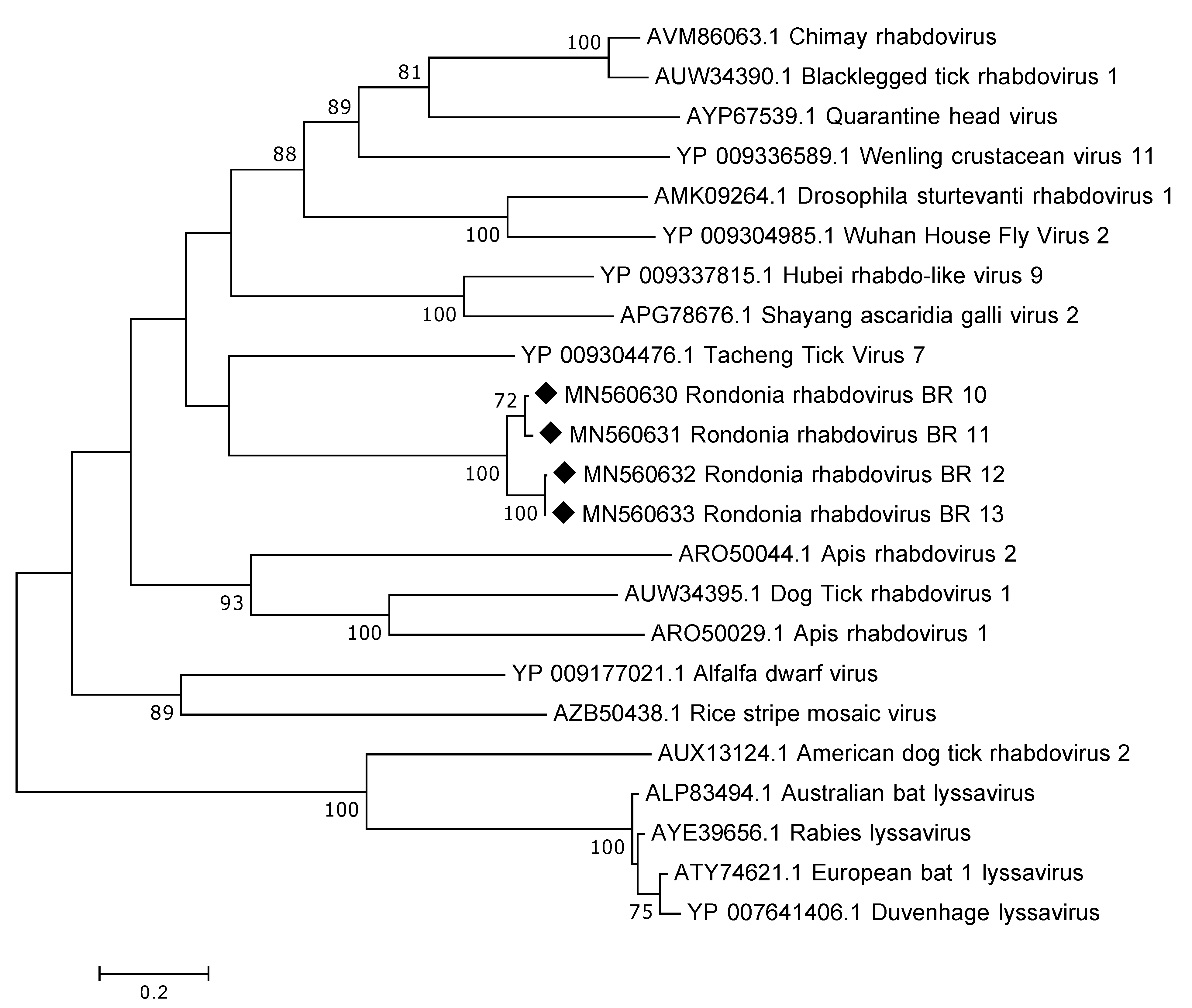 Viruses 12 00048 g003 Viruses 12 00048 g003