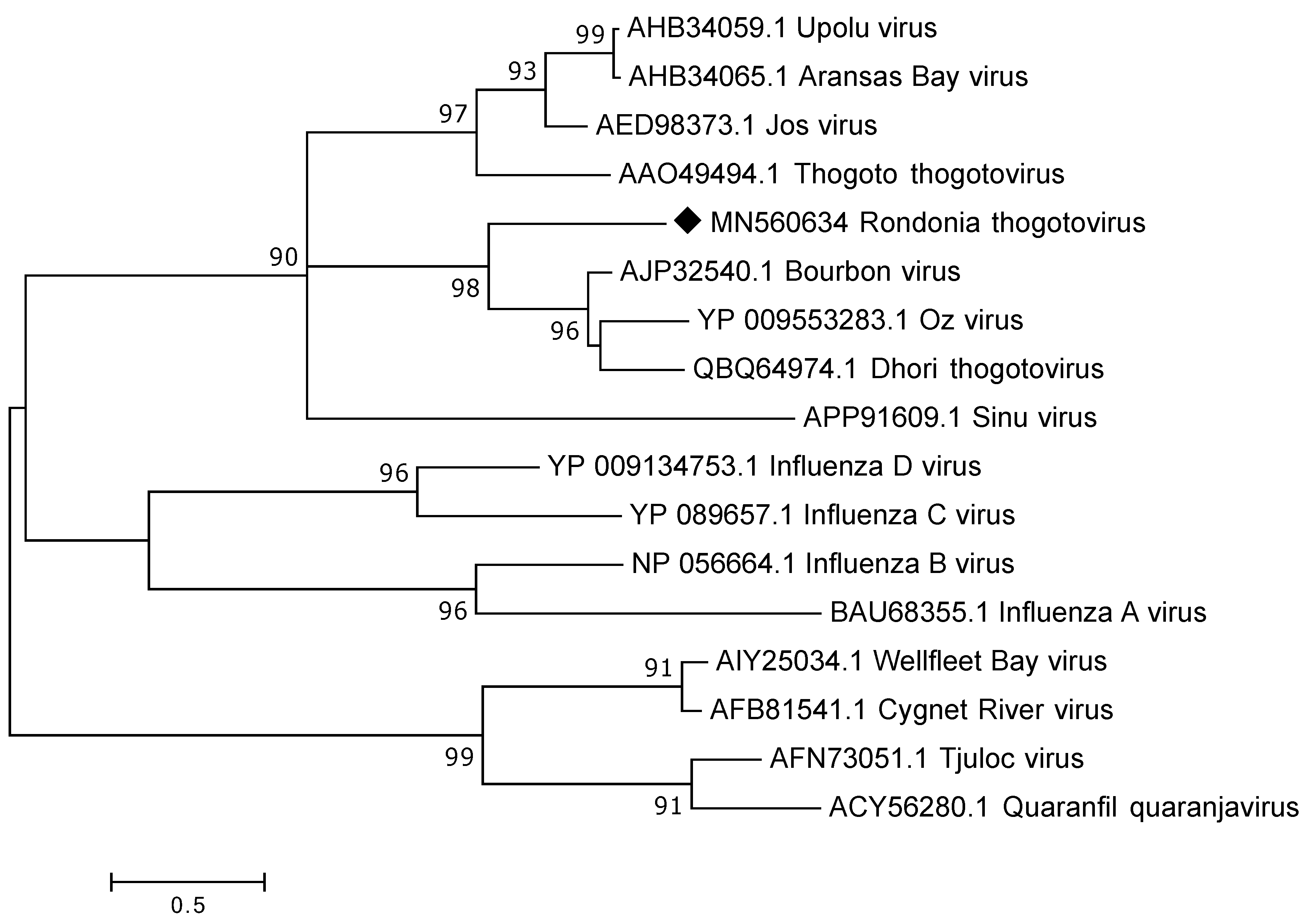 Viruses 12 00048 g004 Viruses 12 00048 g004