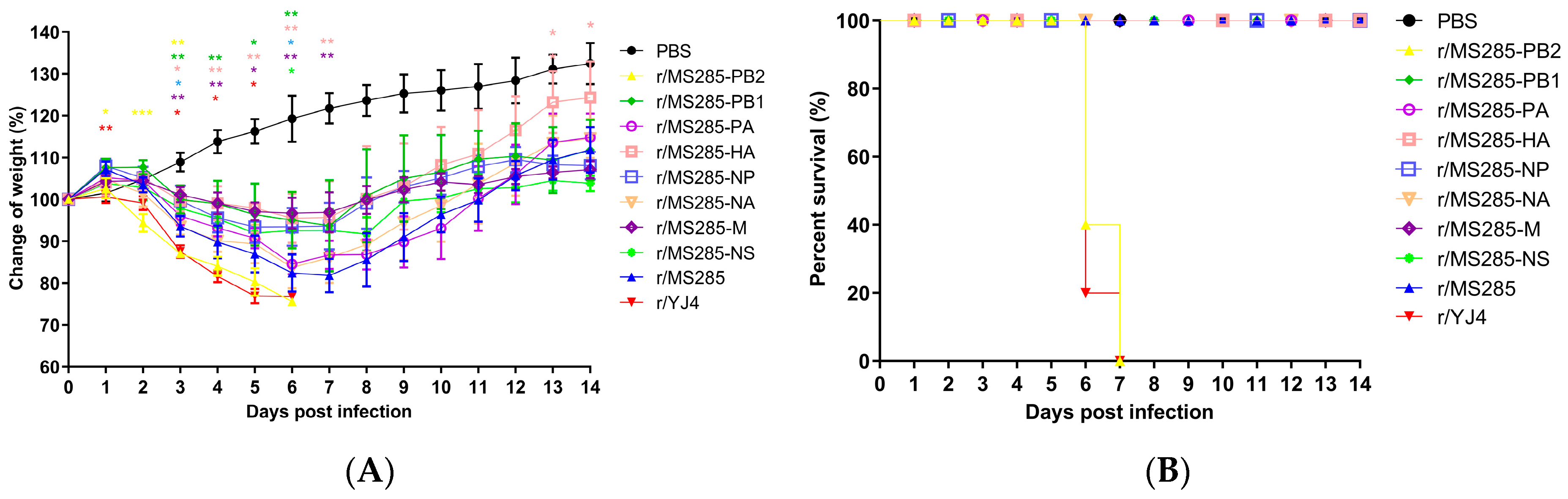Viruses 12 00052 g002