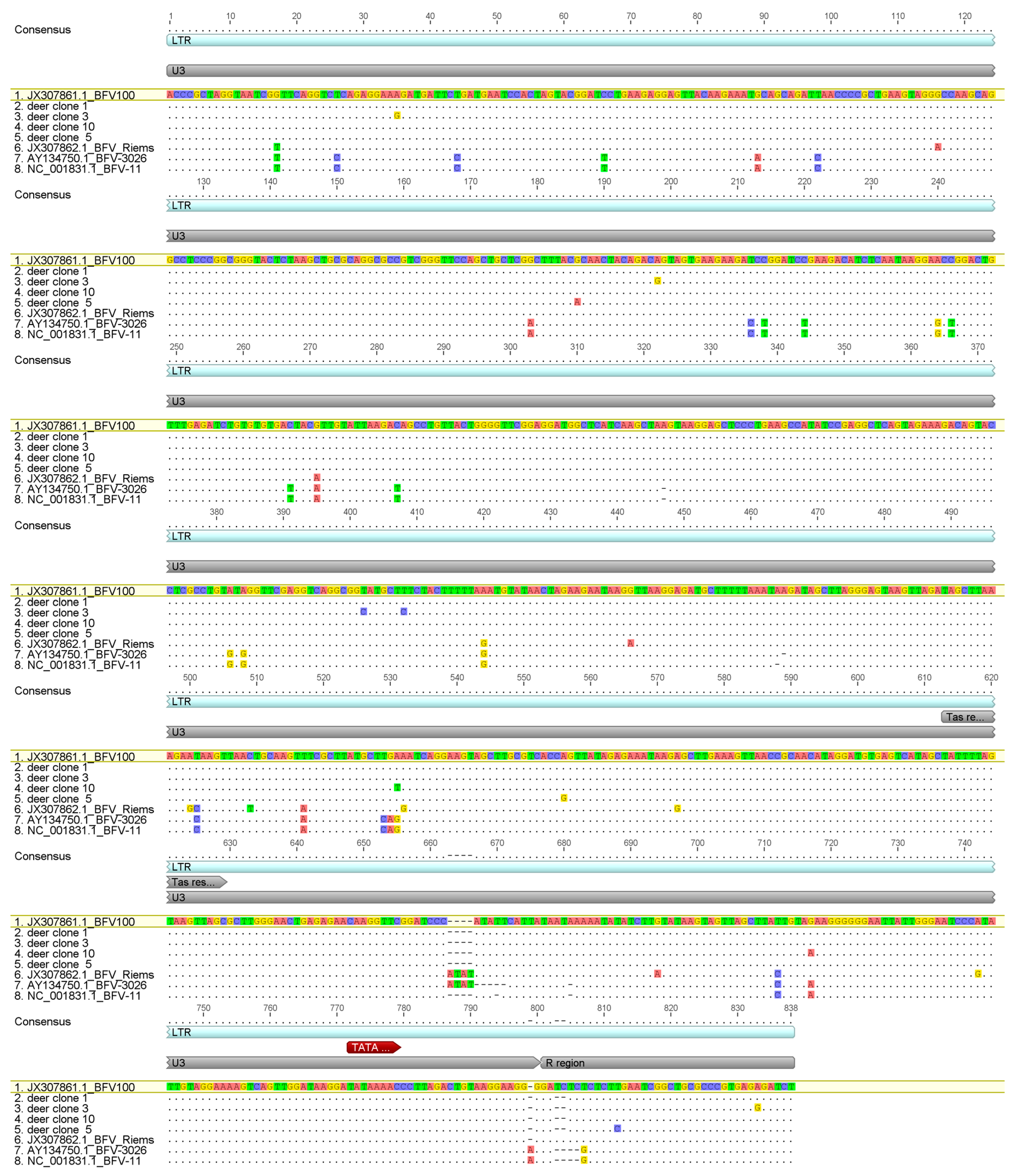 Viruses 12 00058 g006