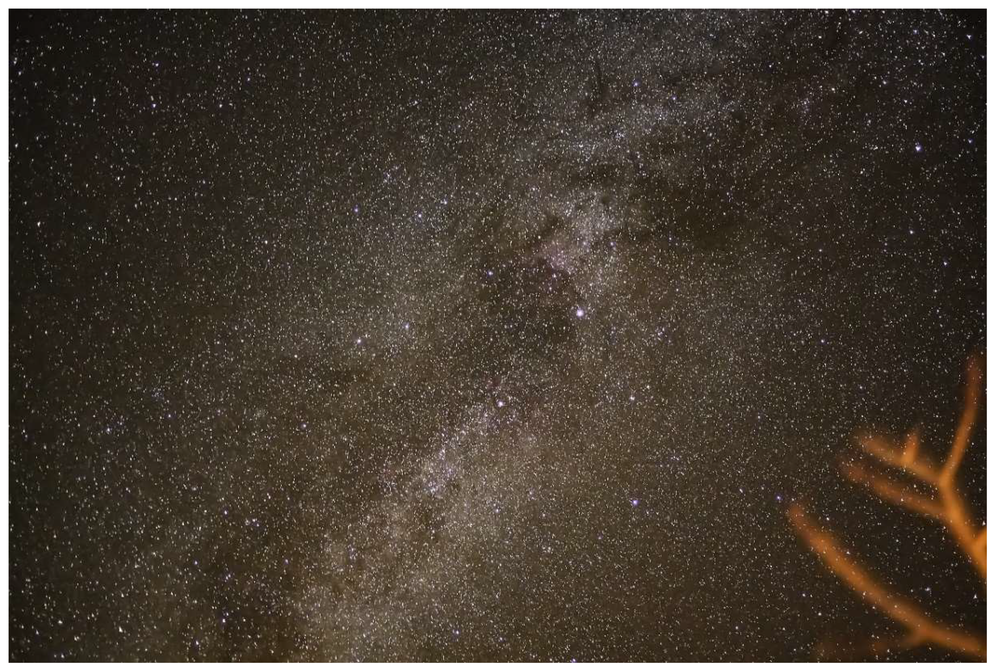 Viruses 12 00085 g002