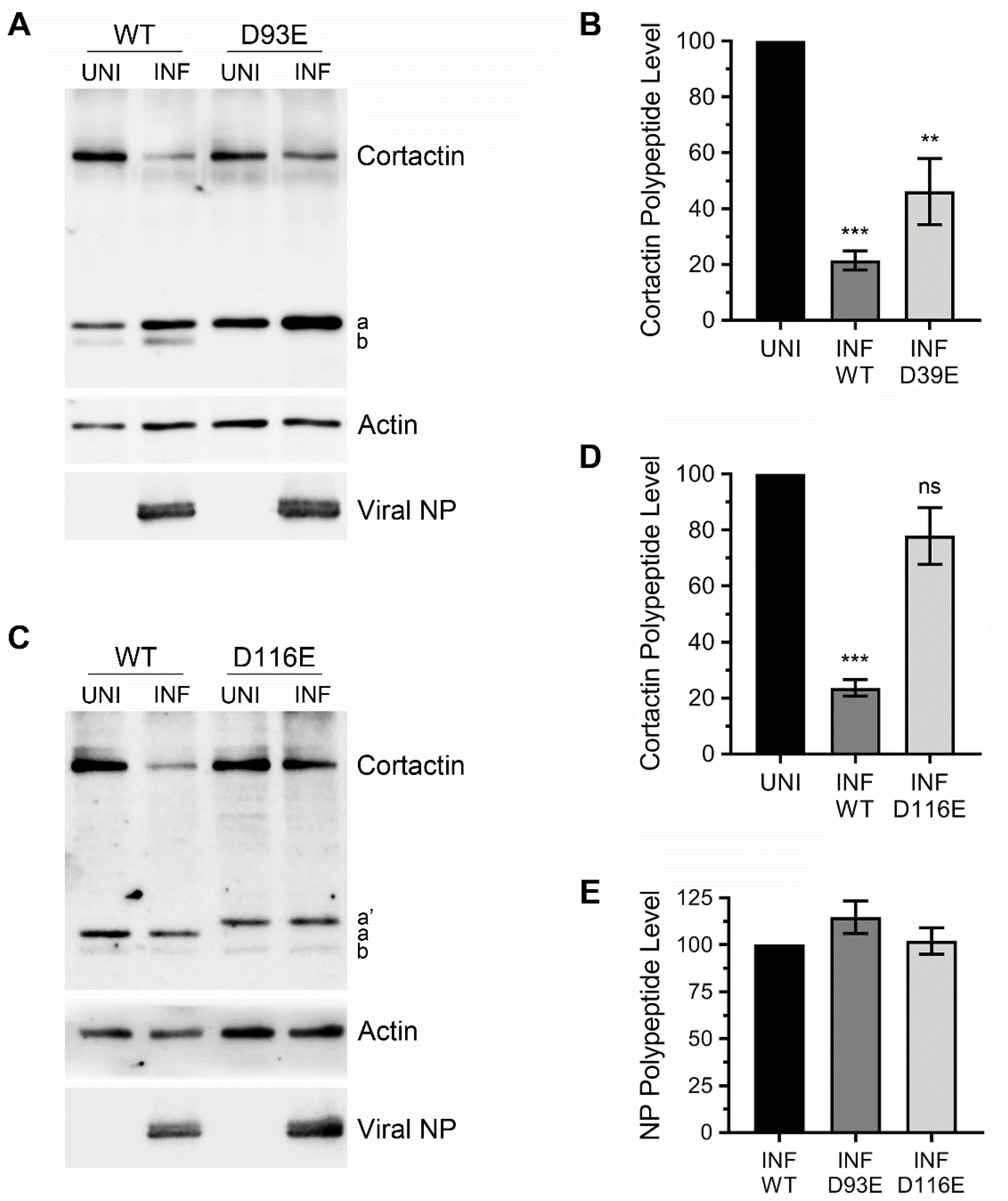 Viruses 12 00087 g004