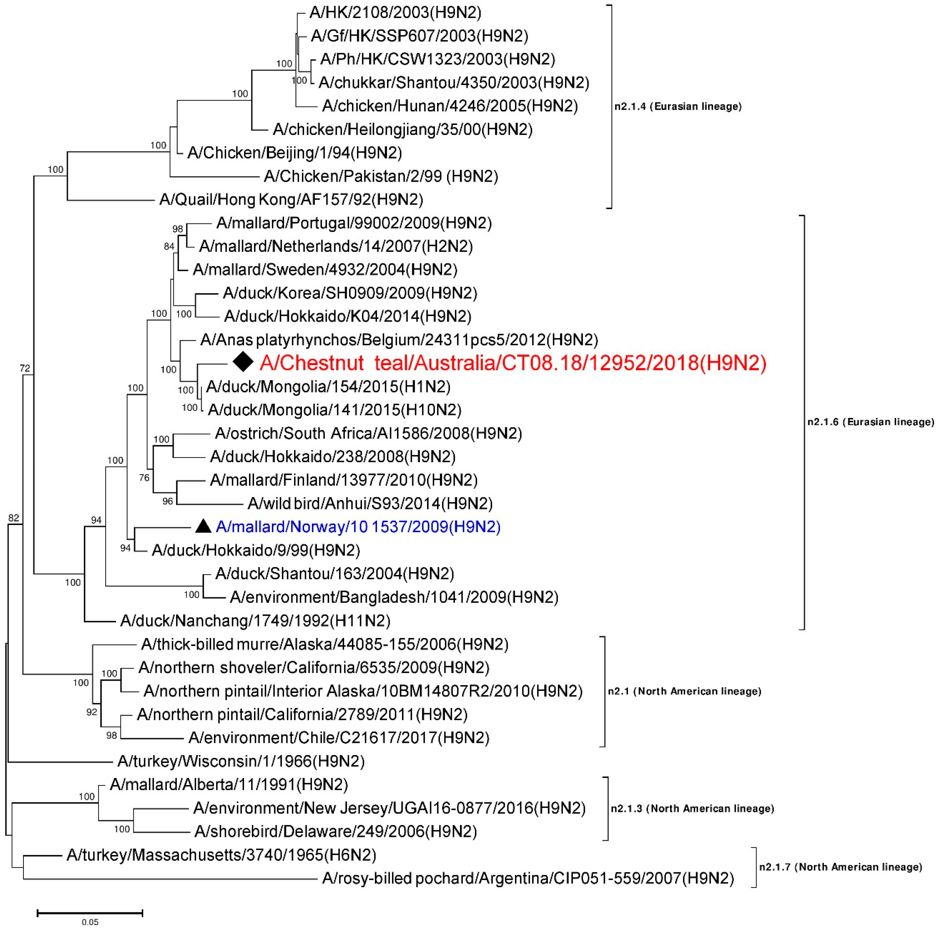 Viruses 12 00088 g002
