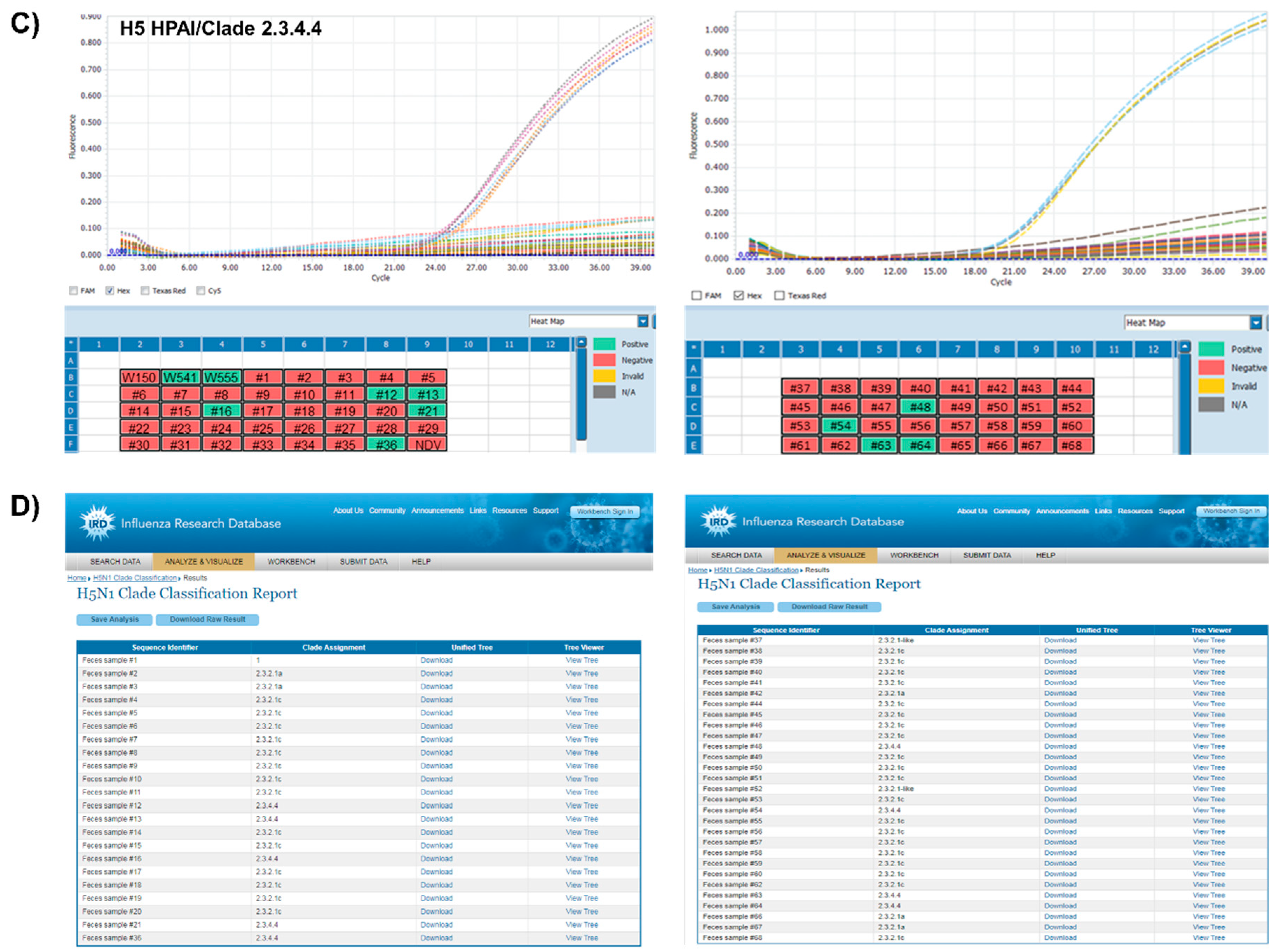 Viruses 12 00100 g003b Viruses 12 00100 g003b