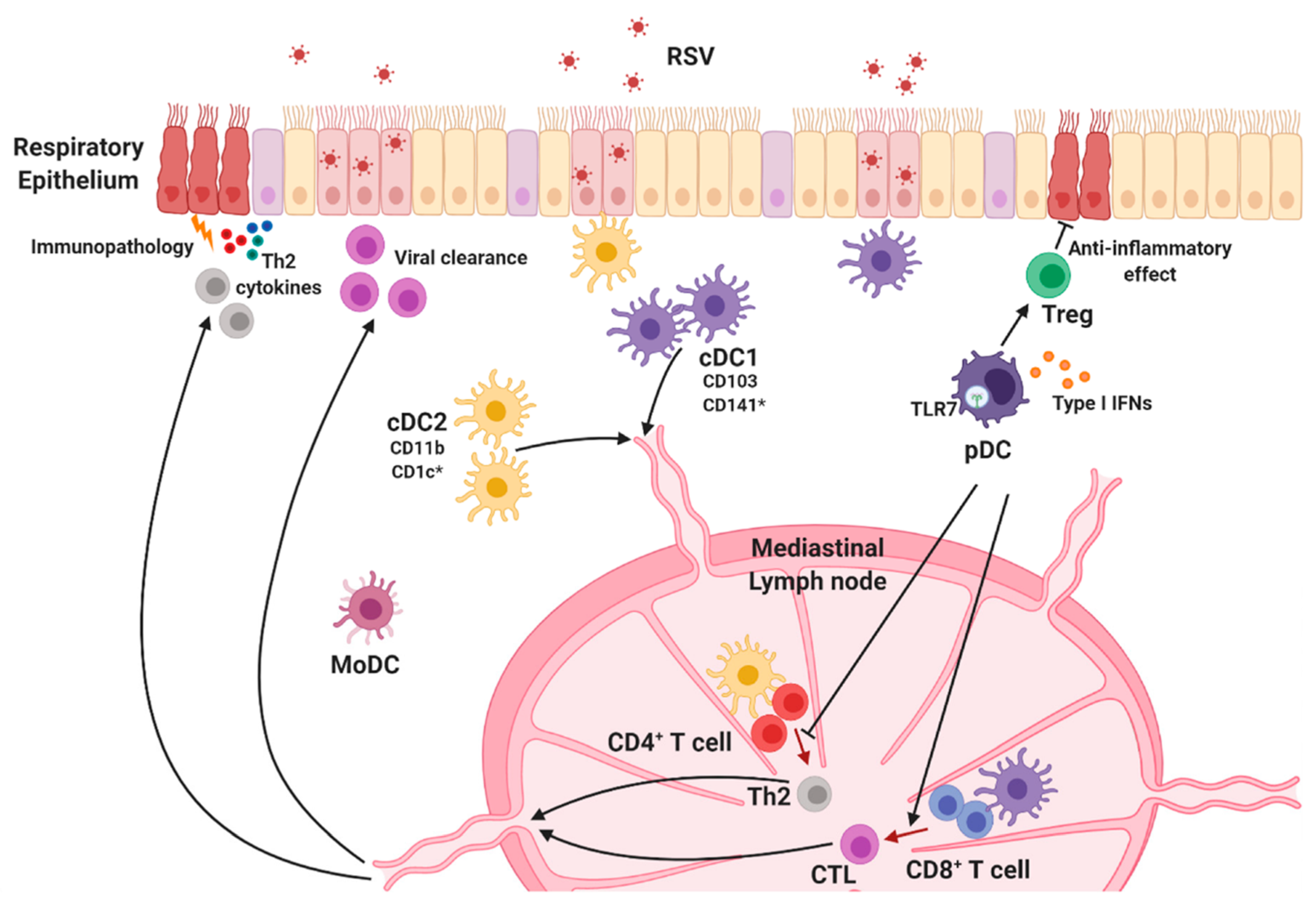 Viruses 12 00102 g003
