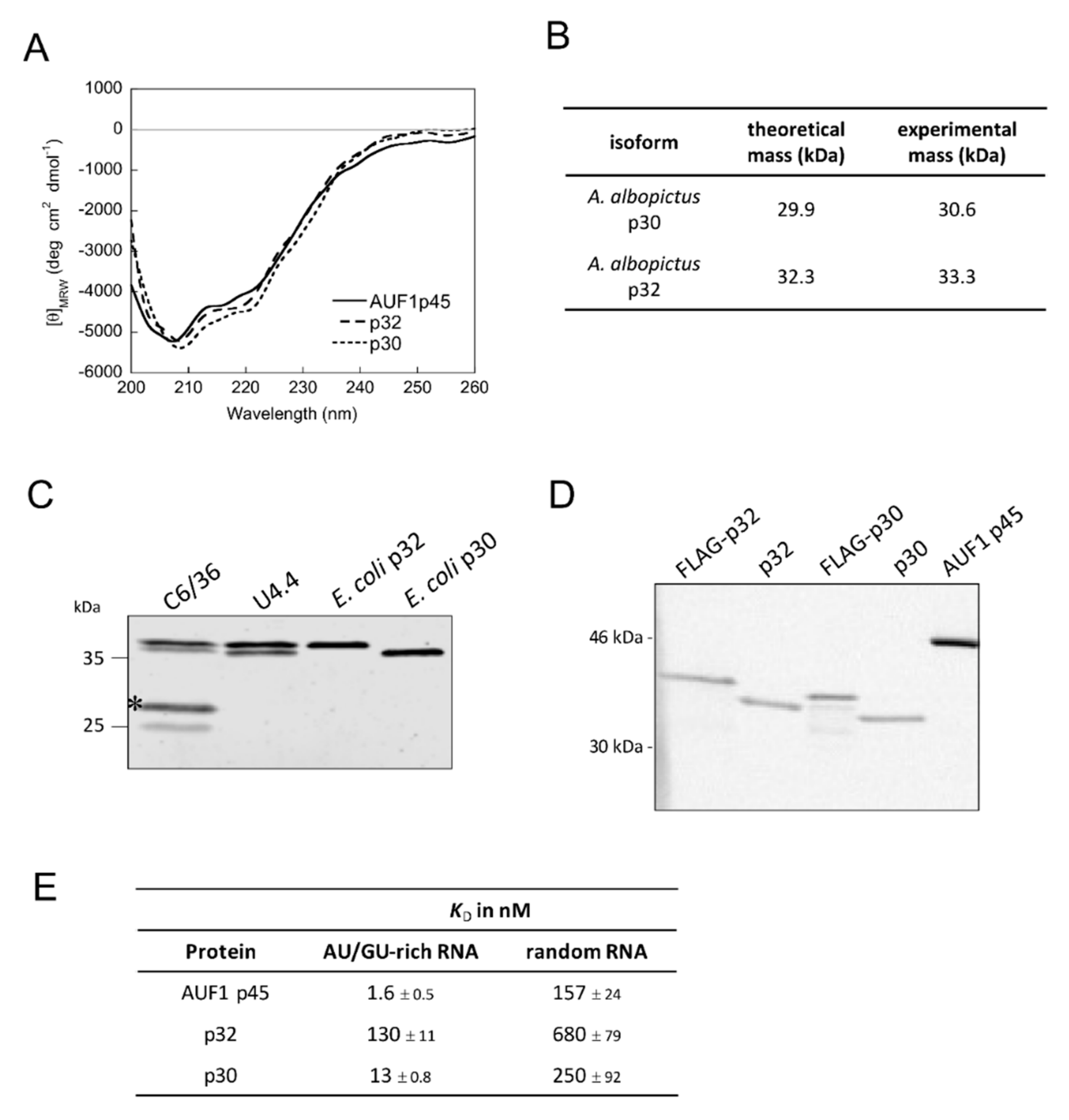 Viruses 12 00104 g006
