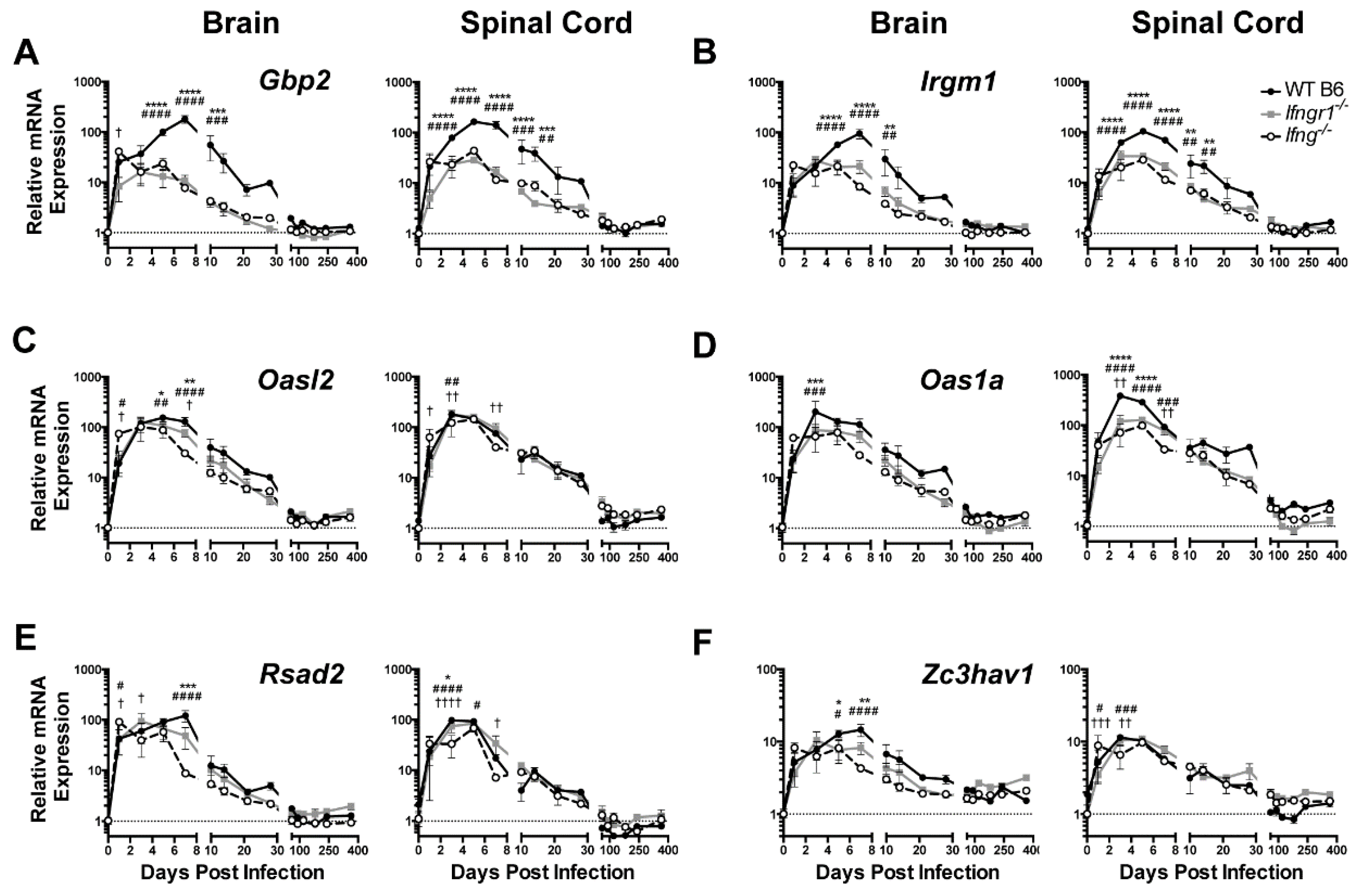 Viruses 12 00113 g004