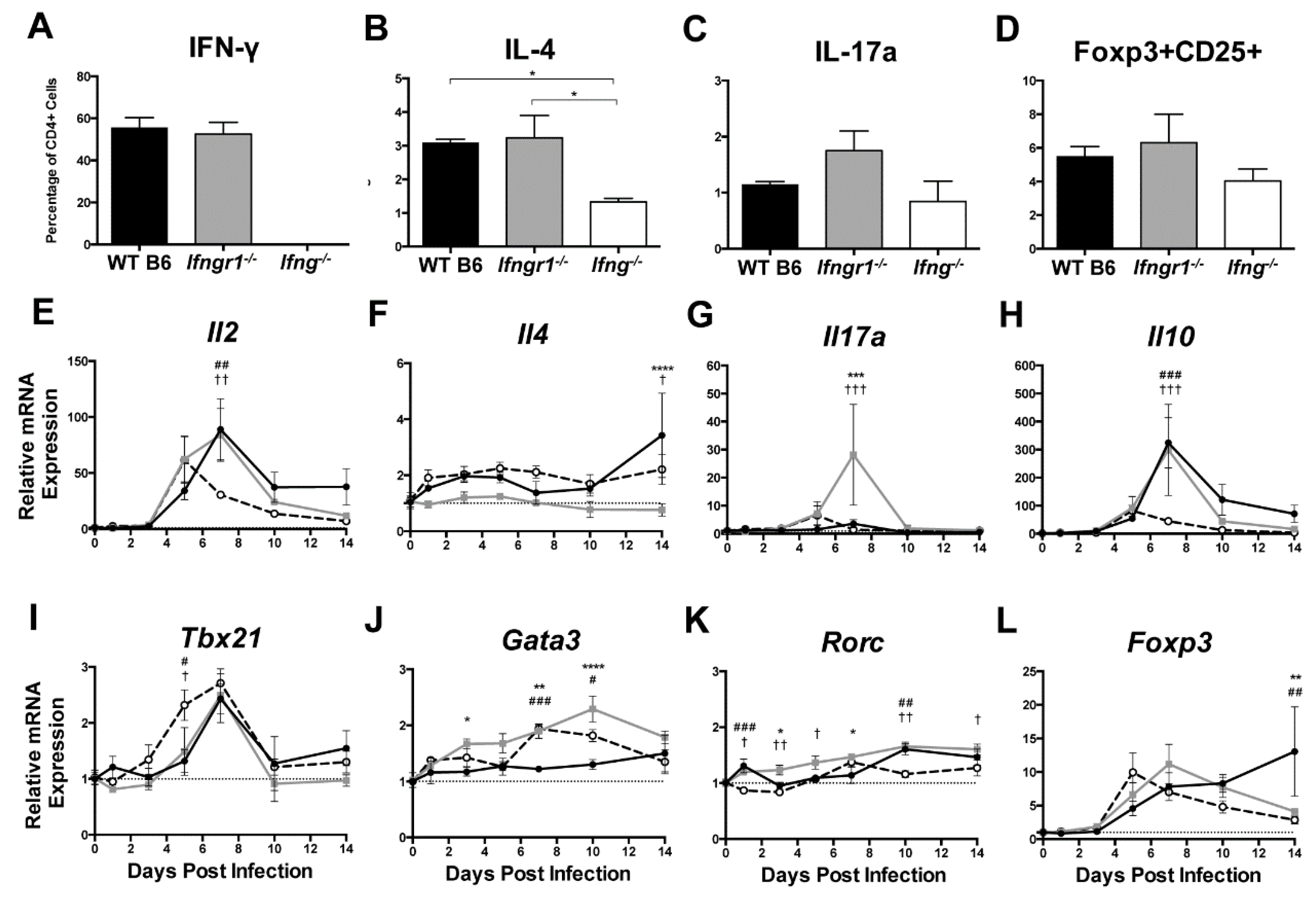 Viruses 12 00113 g008