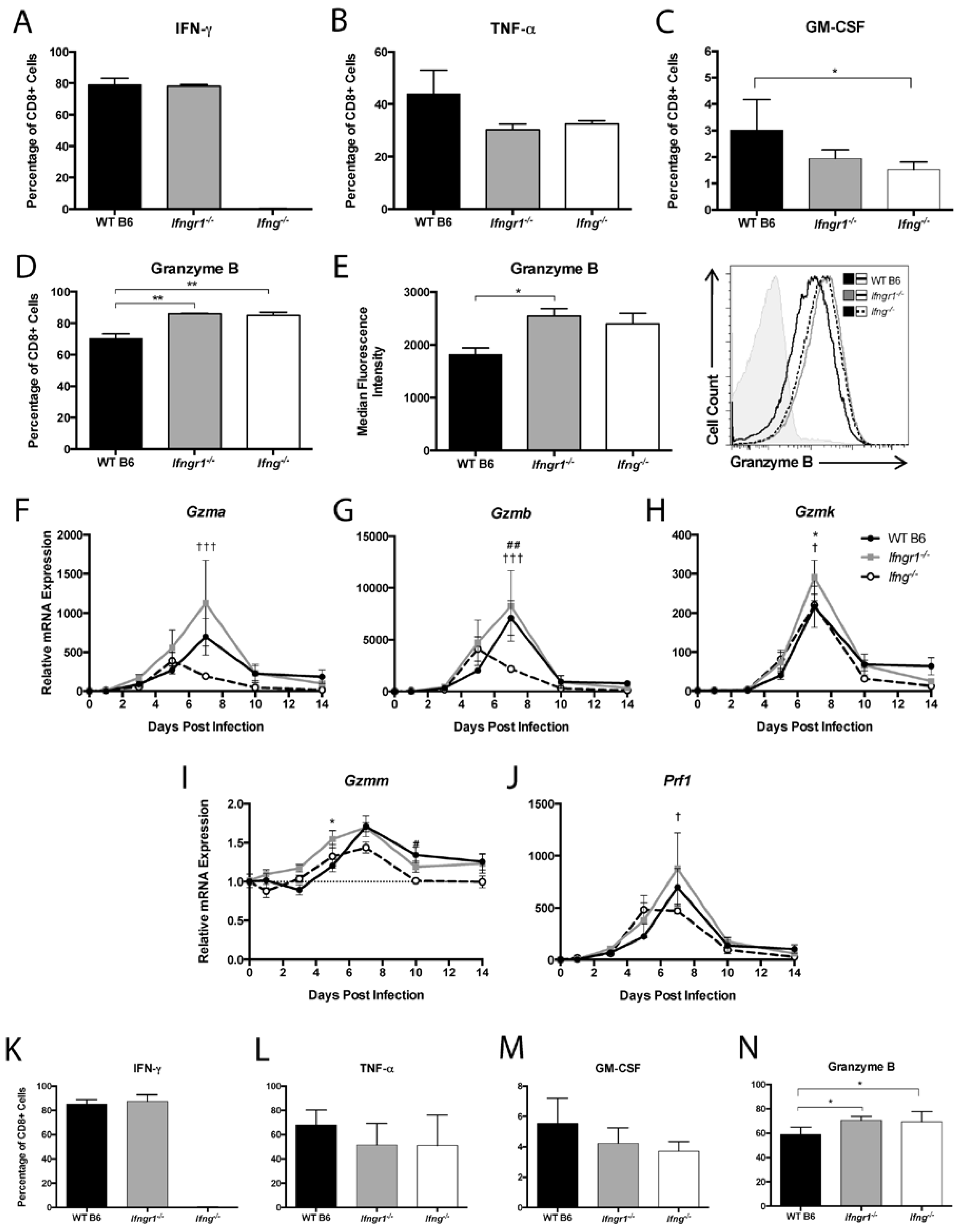 Viruses 12 00113 g009