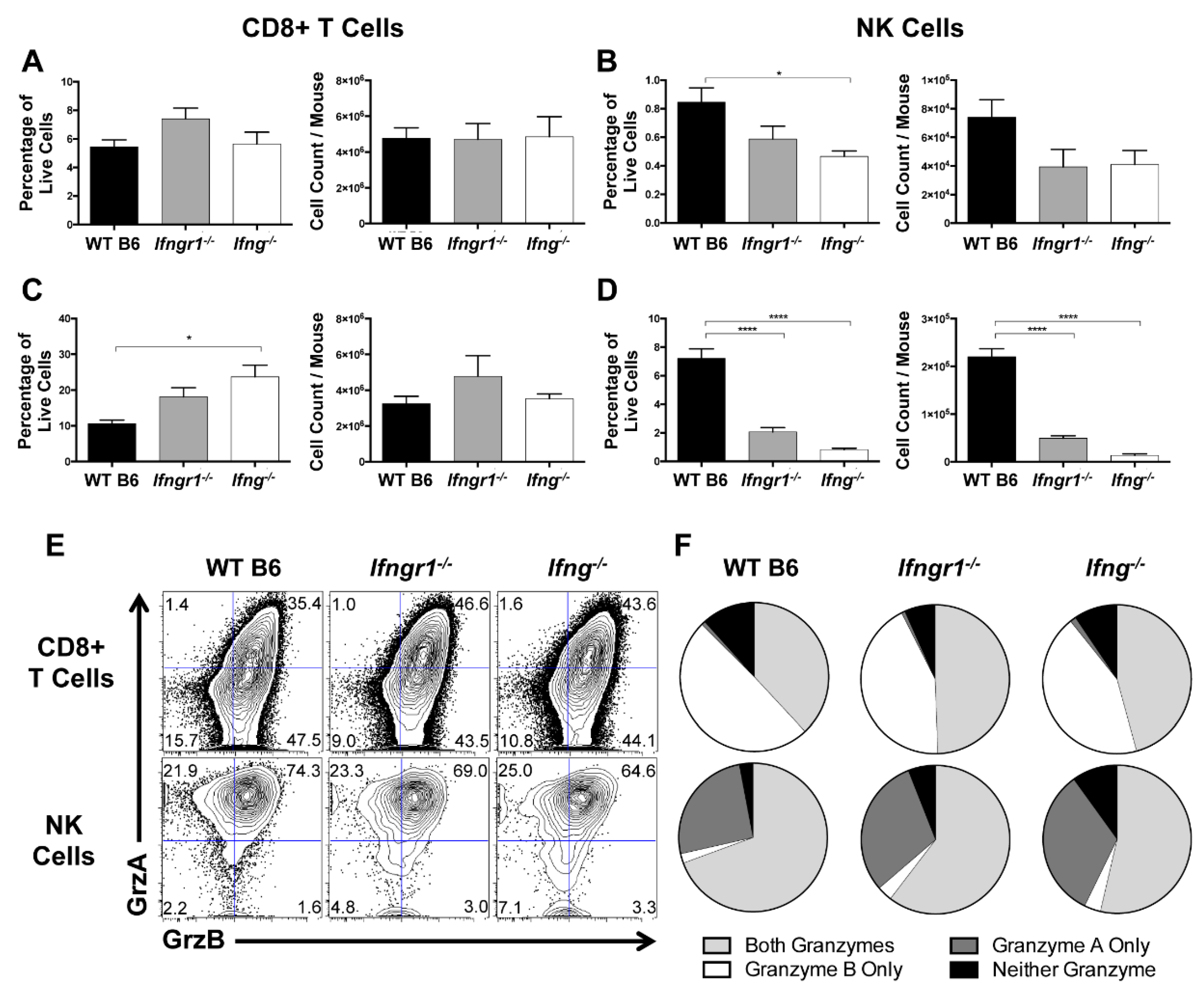 Viruses 12 00113 g010